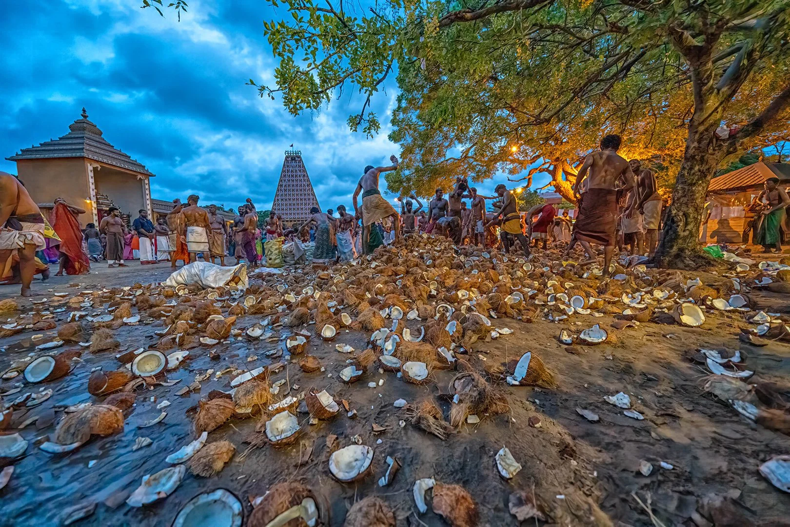 Coconut Smashing.jpg