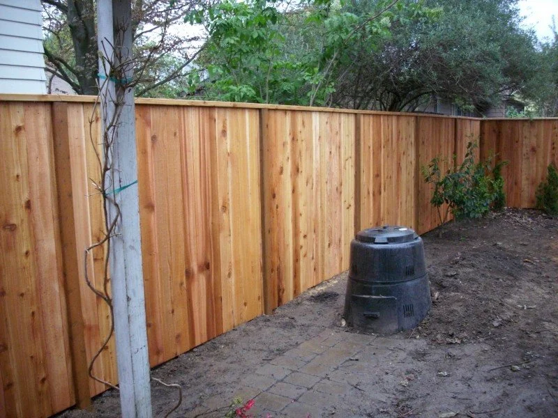 DSCI0273-e1272259700241.jpg