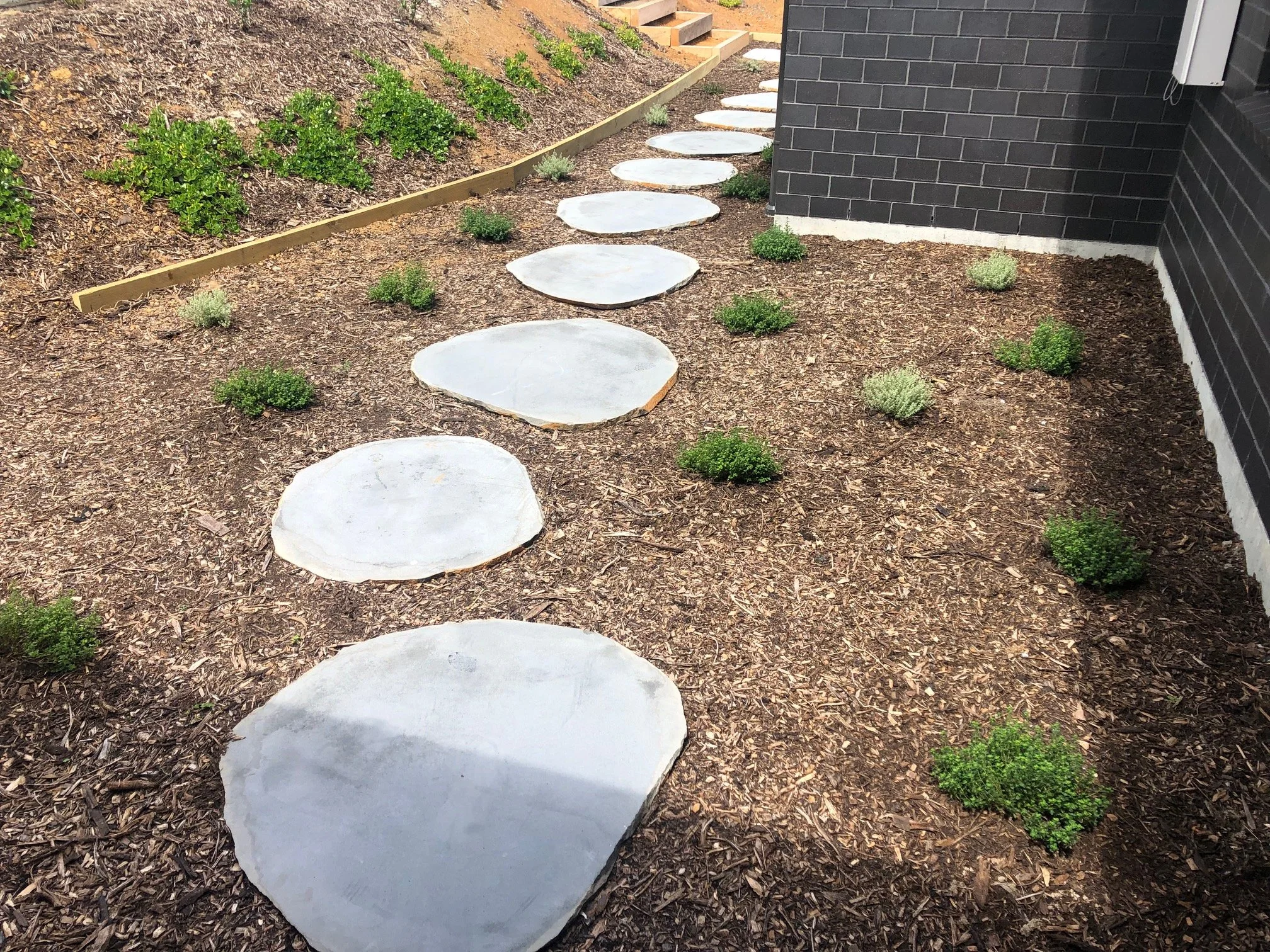 Natural Cut Bluestone Stepper (10).jpg