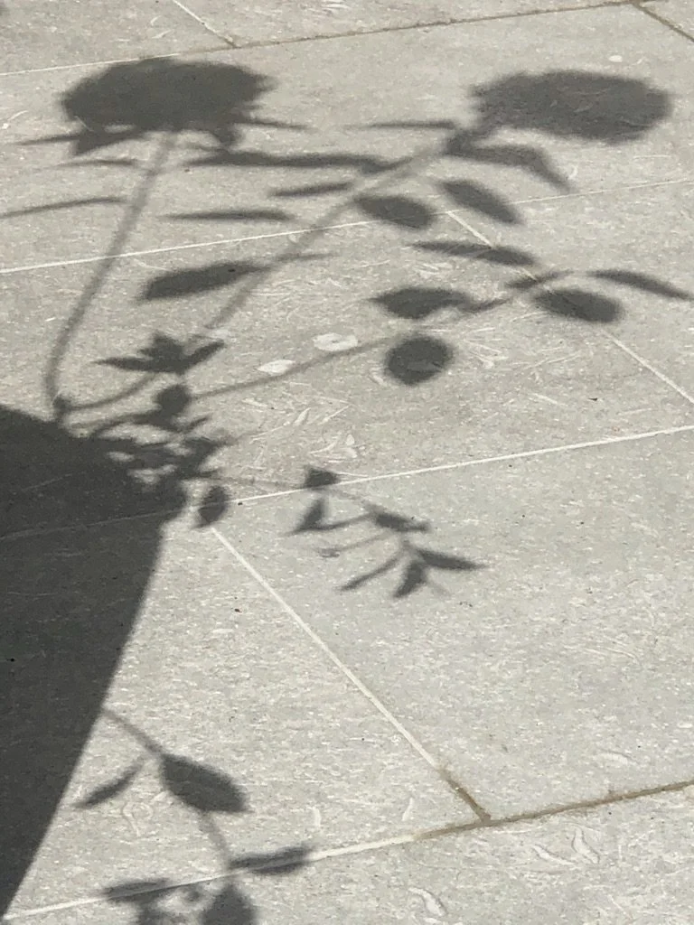 Seagrass Limestone Paving (Copy)