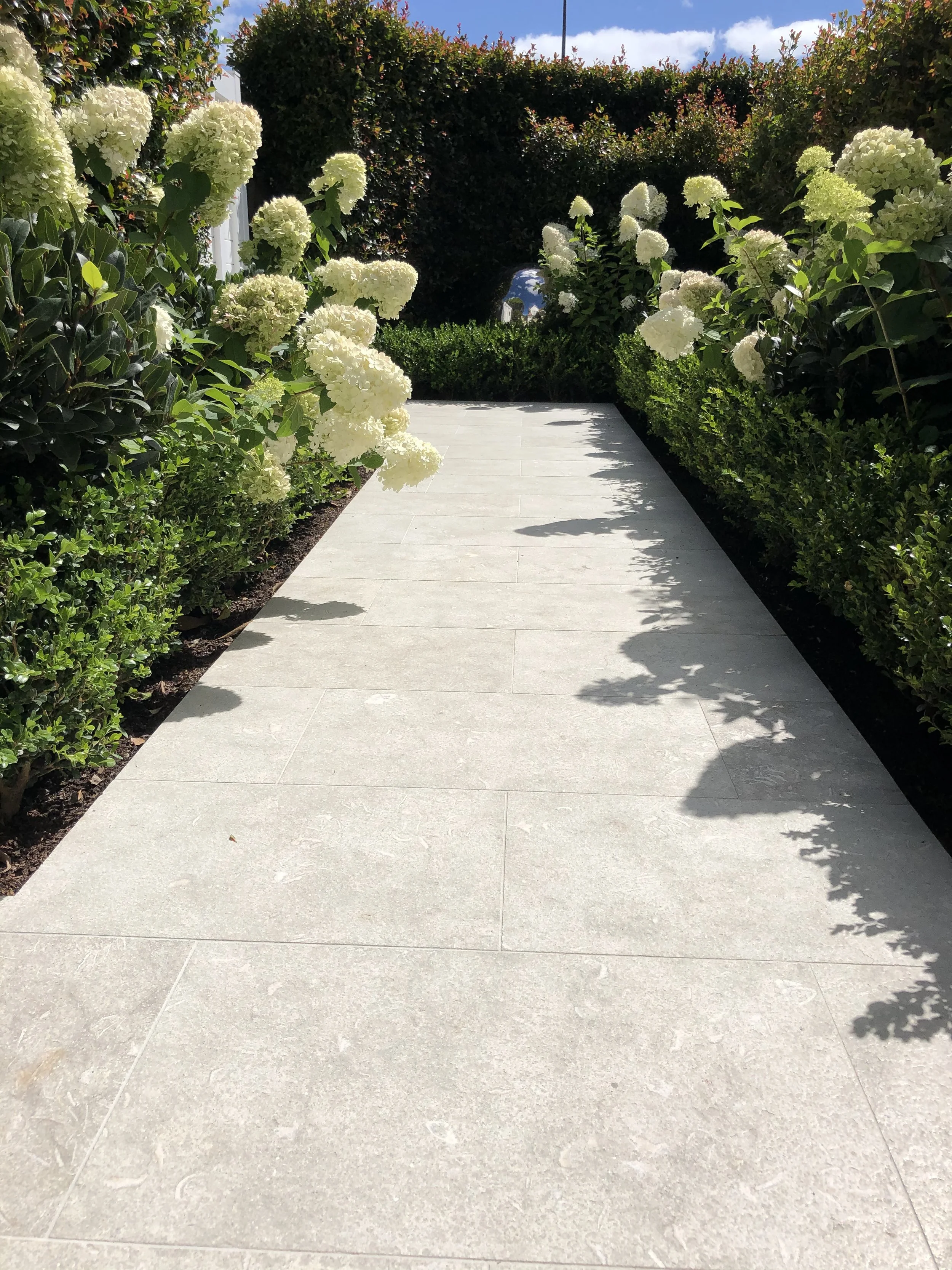 Seagrass Limestone Paving (Copy)
