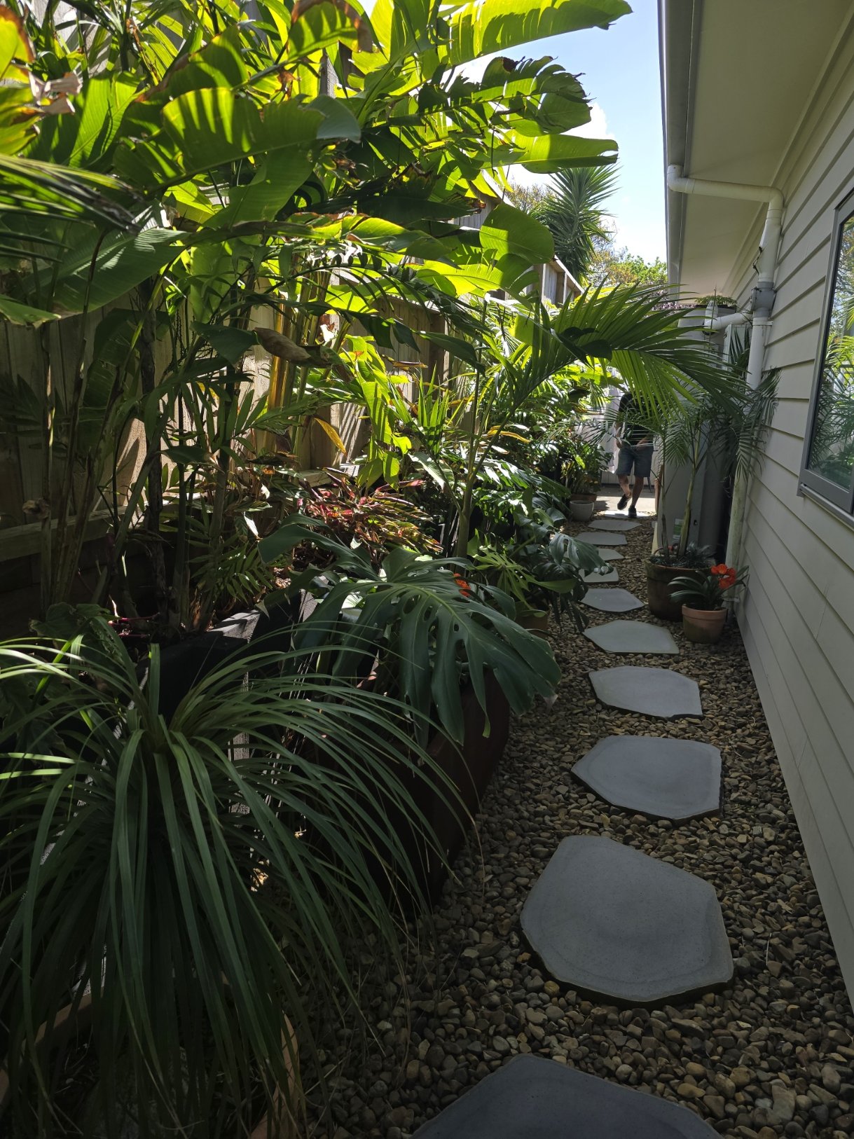 Natural Cut Bluestone Stepper