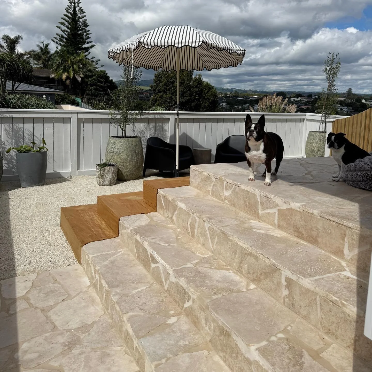 C L A S S I C  T R A V E R T I N E  C R A Z Y  P A V I N G

Elevating everyday steps with the timeless beauty of Travertine.  Our Classic Travertine Crazy Paving brings texture and character to these stairs - no two pieces are the same, yet they fit 
