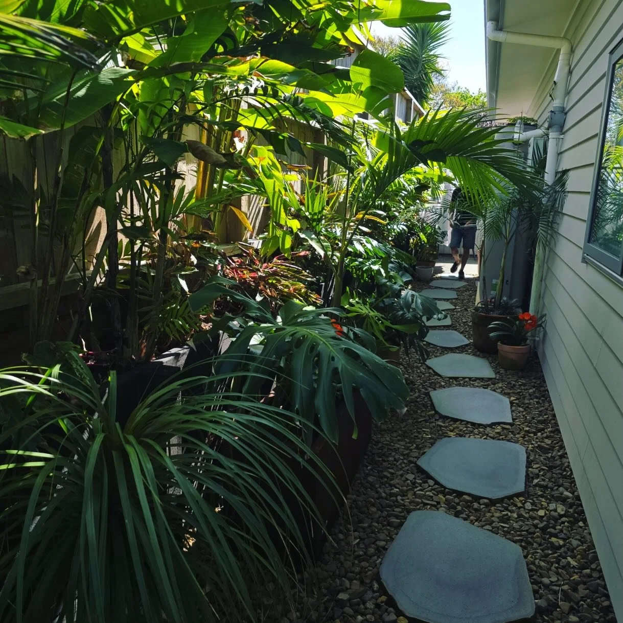 S T E P P E R S

Our Natural Cut Steppers are organically shaped due to being cut straight from a Bluestone boulder.  Available in 3 sizes they can be blended together to form a path or a unique patio with plantings. At 30mm thick they do not require