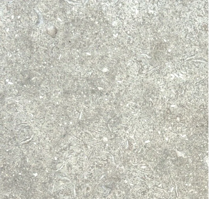 Seagrass Limestone