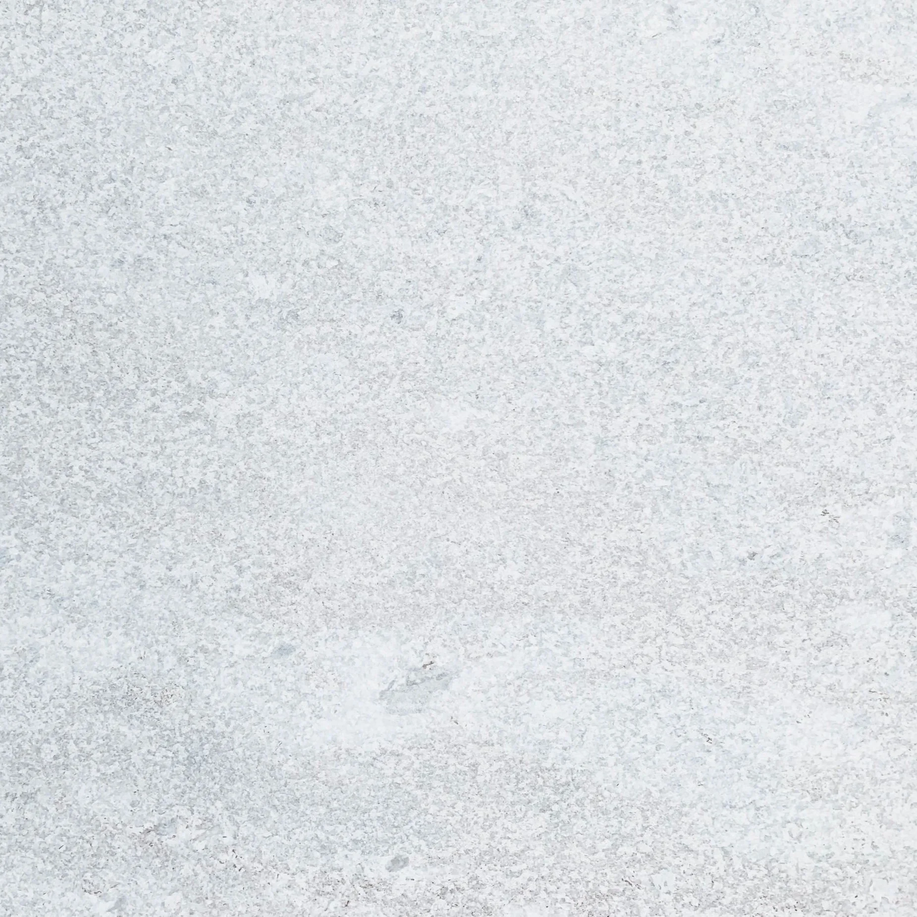 White+Quartzite+Flamed_2.jpg