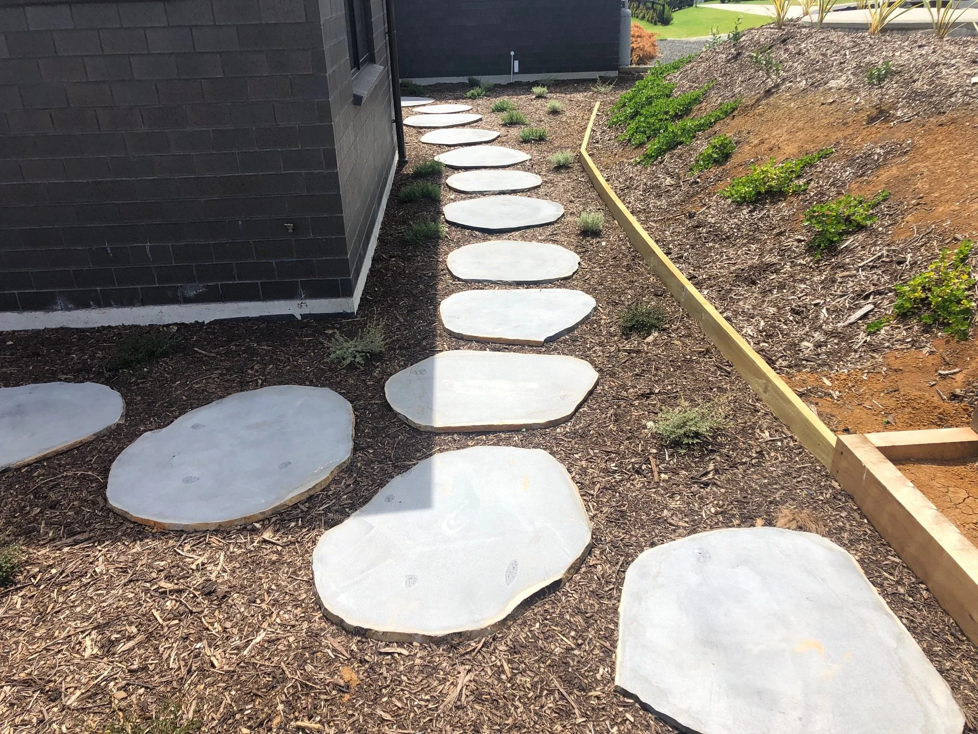 Natural Cut Bluestone Stepper (11).jpg