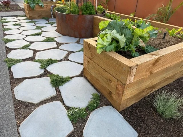 Natural Cut Bluestone Stepper.jpeg