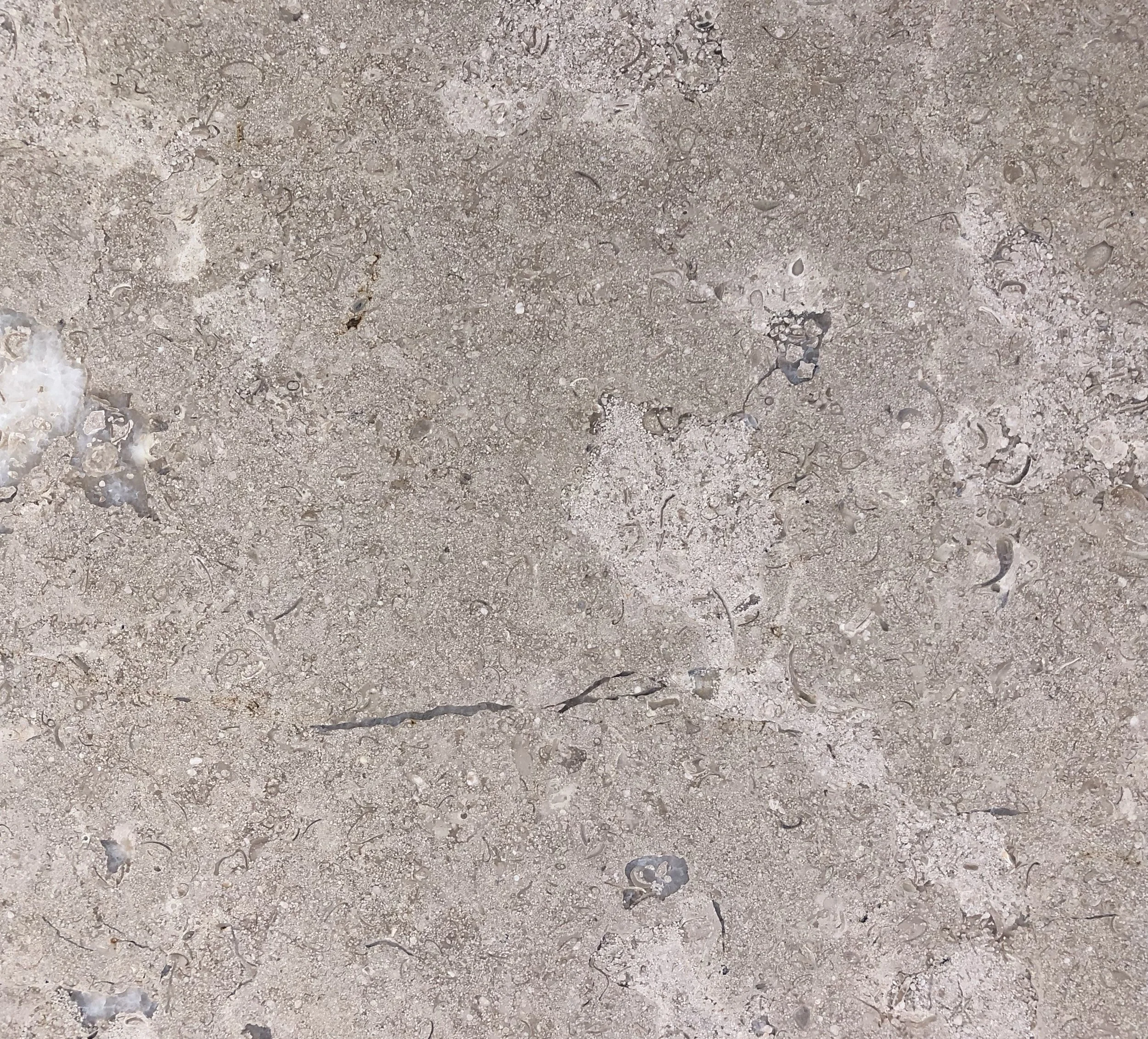 Close-up of a dusty, gravelly ground surface with small stones and cracks.