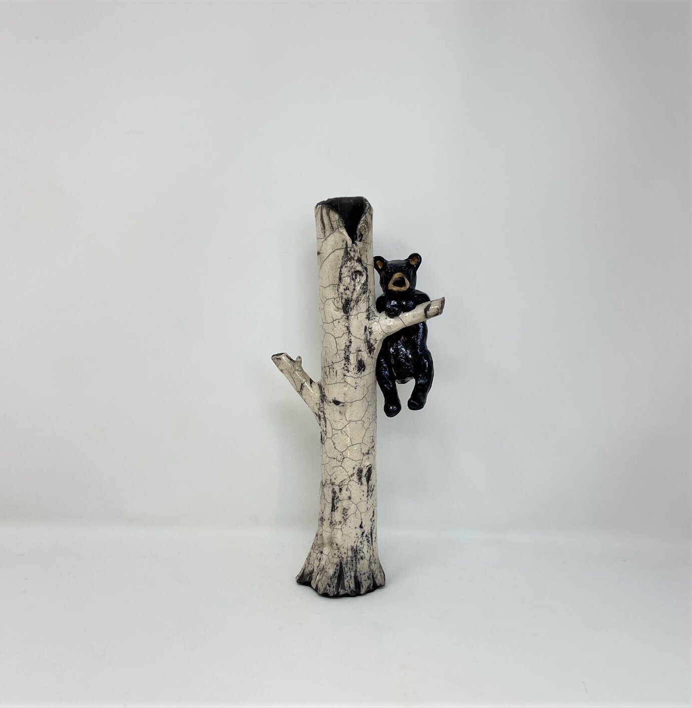 Lisa Wilkinson, “Black Bear in Tree”