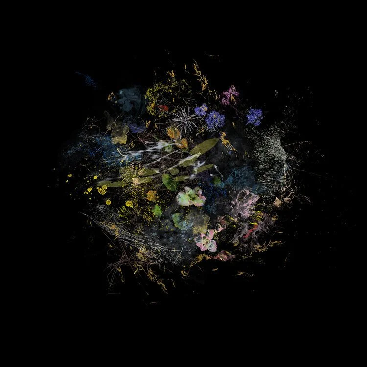 Gabriela Garcia-Luna | Spring will Come I