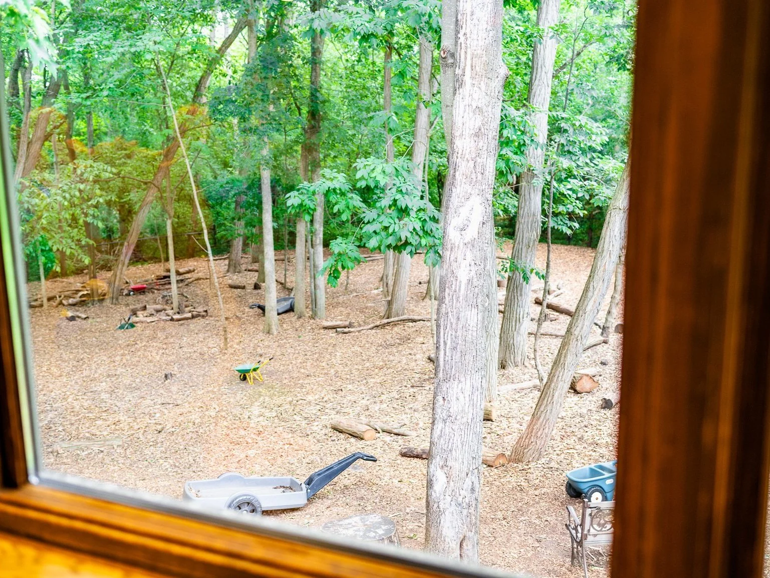 View of a wooded backyard with tall trees, seen through a window. There are logs, a yellow wheelbarrow, a small trailer, and a blue wagon scattered around the area. The ground is covered with leaves and wood chips.