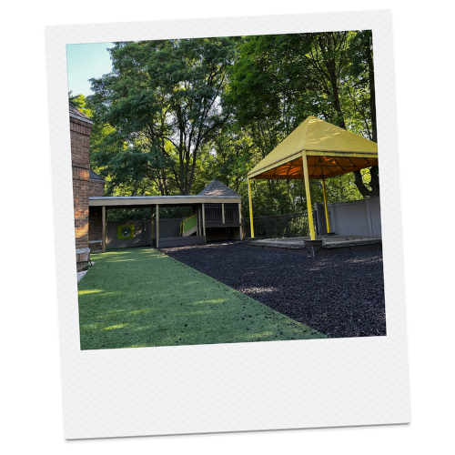 An outdoor area with a grassy lawn, a sandbox with a canopy, and a wooden shelter under trees.