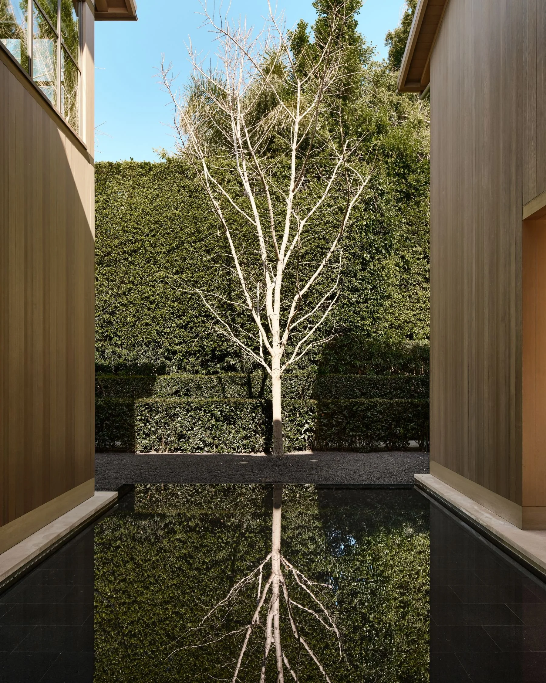 24- 942 Alpine_v2_FullResolution24_.jpg