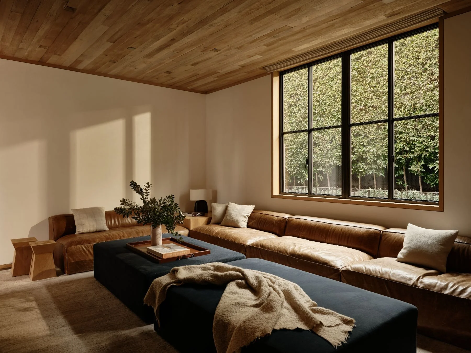 28- 942 Alpine_v2_FullResolution28_.jpg