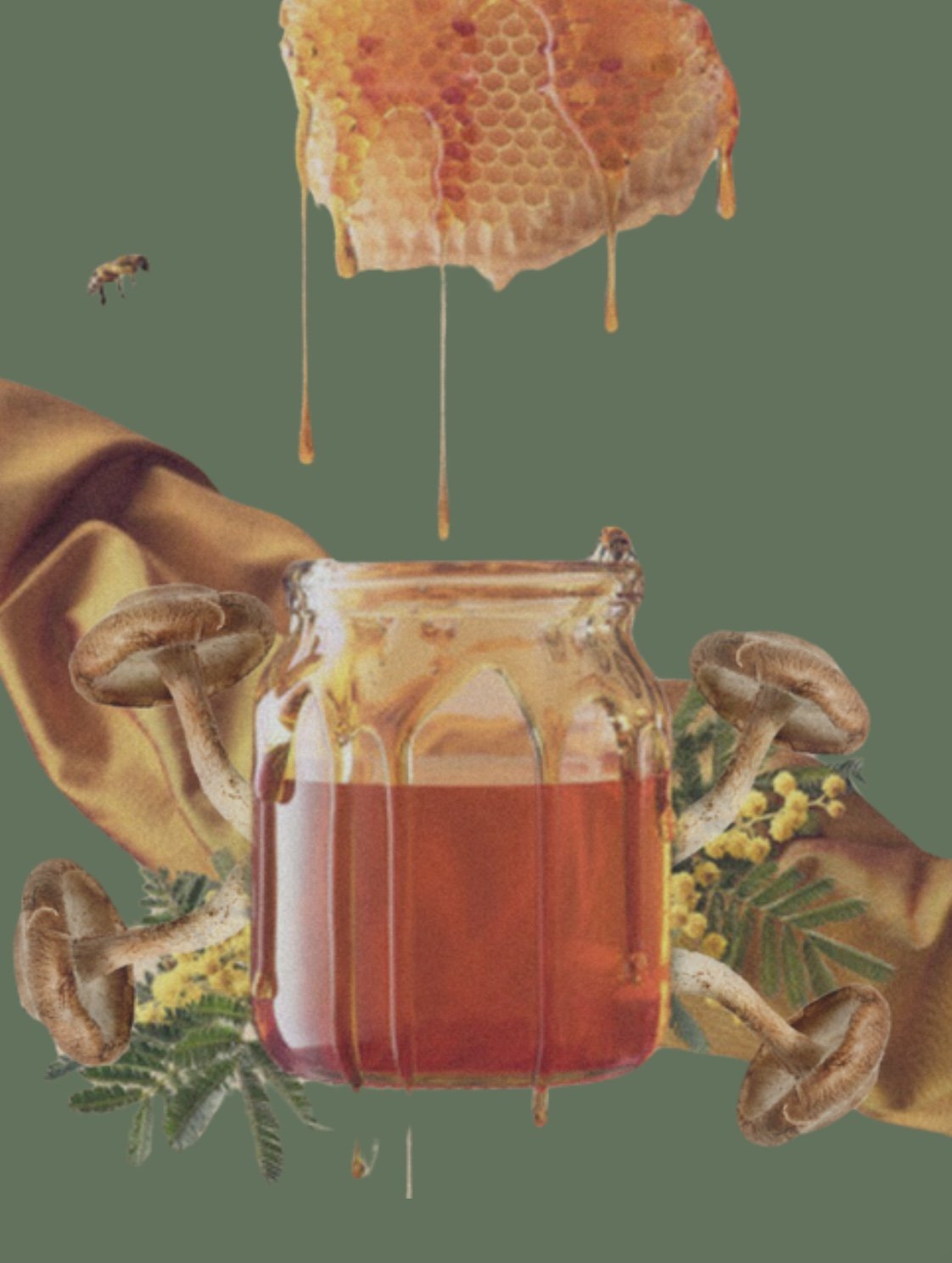 Collage of jar of honey with honeycomb, mushrooms, and foliage against green background.