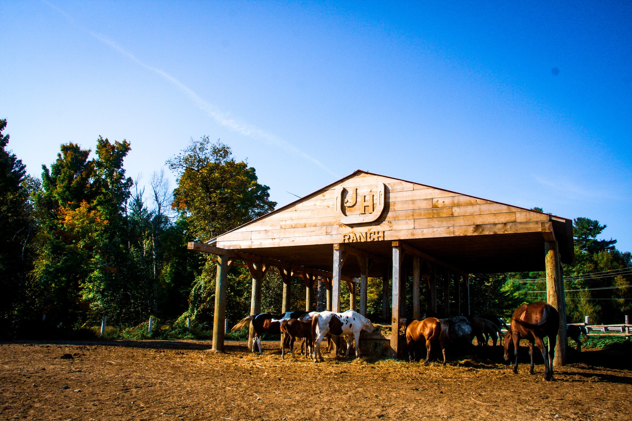 Farm branding photography and website content