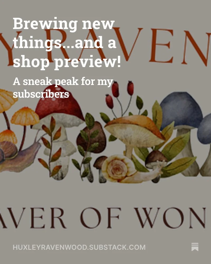 Just made this substack post public...a preview of all the things that will be available in my shop on Saturday!! Lots of handmade gifts in time for holidays, including crocheted wearables and hand-bound journals and sketchbooks. huxleyravenwood.subs