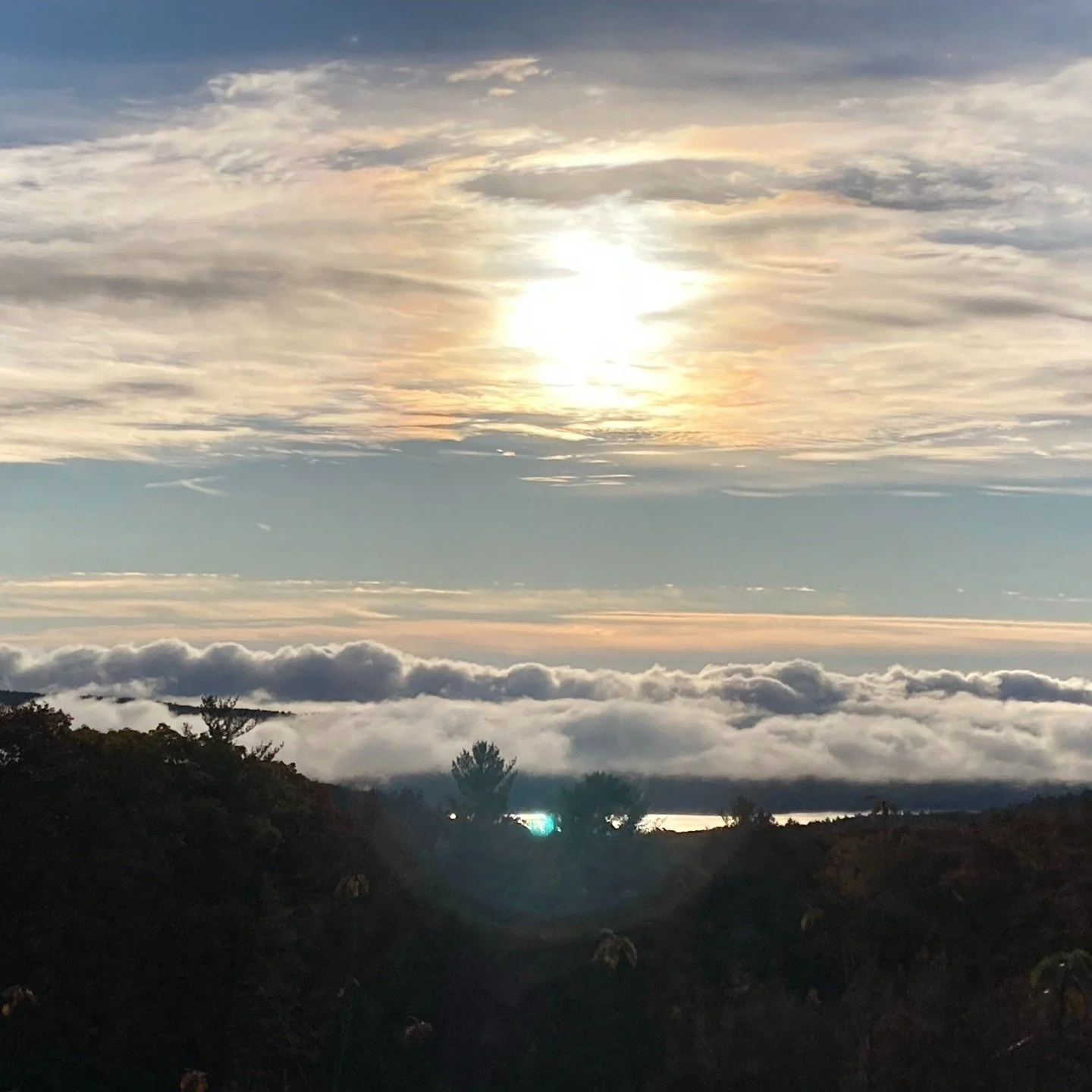 I still love this photo I took in Pelham, MA, overlooking the Quabbin Reservoir at 8:30AM in November, 2021. I actually drove past this spot, then turned around so I could take a picture. I was almost late to the class I was TAing for because of it!