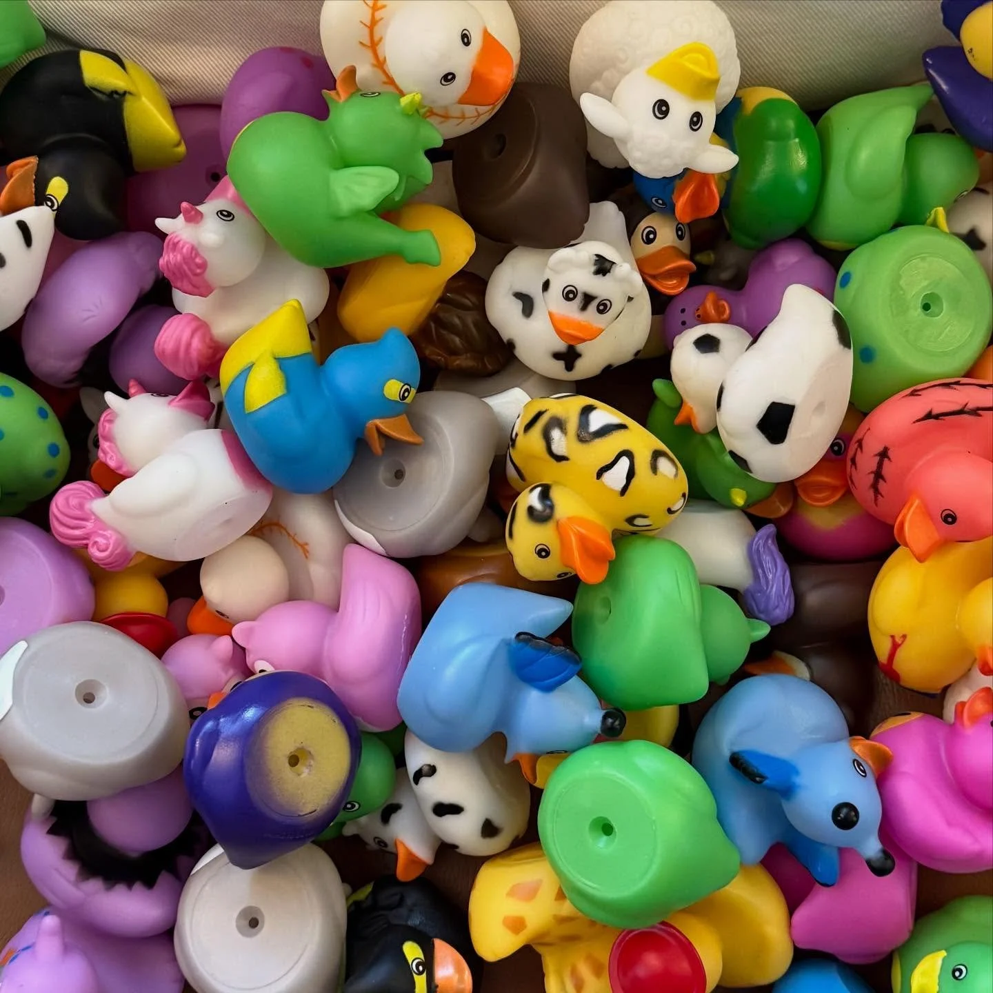 My brother did indeed give me 100 rubber ducks for Christmas.