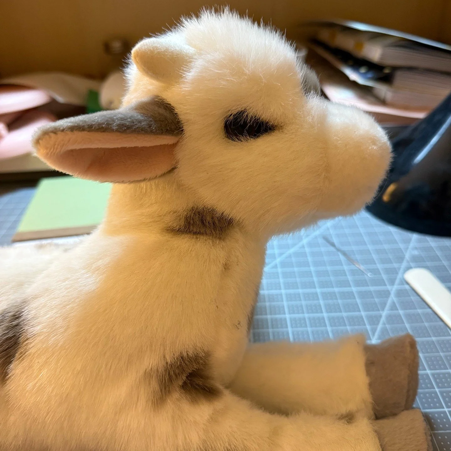 I've been having a frustrating couple of days, professionally. I was sitting up at my desk, crying, when my husband handed me this stuffed animal. He said, "This is 'I Can Cow!' He believes in you." I tearily replied, "That's not a cow