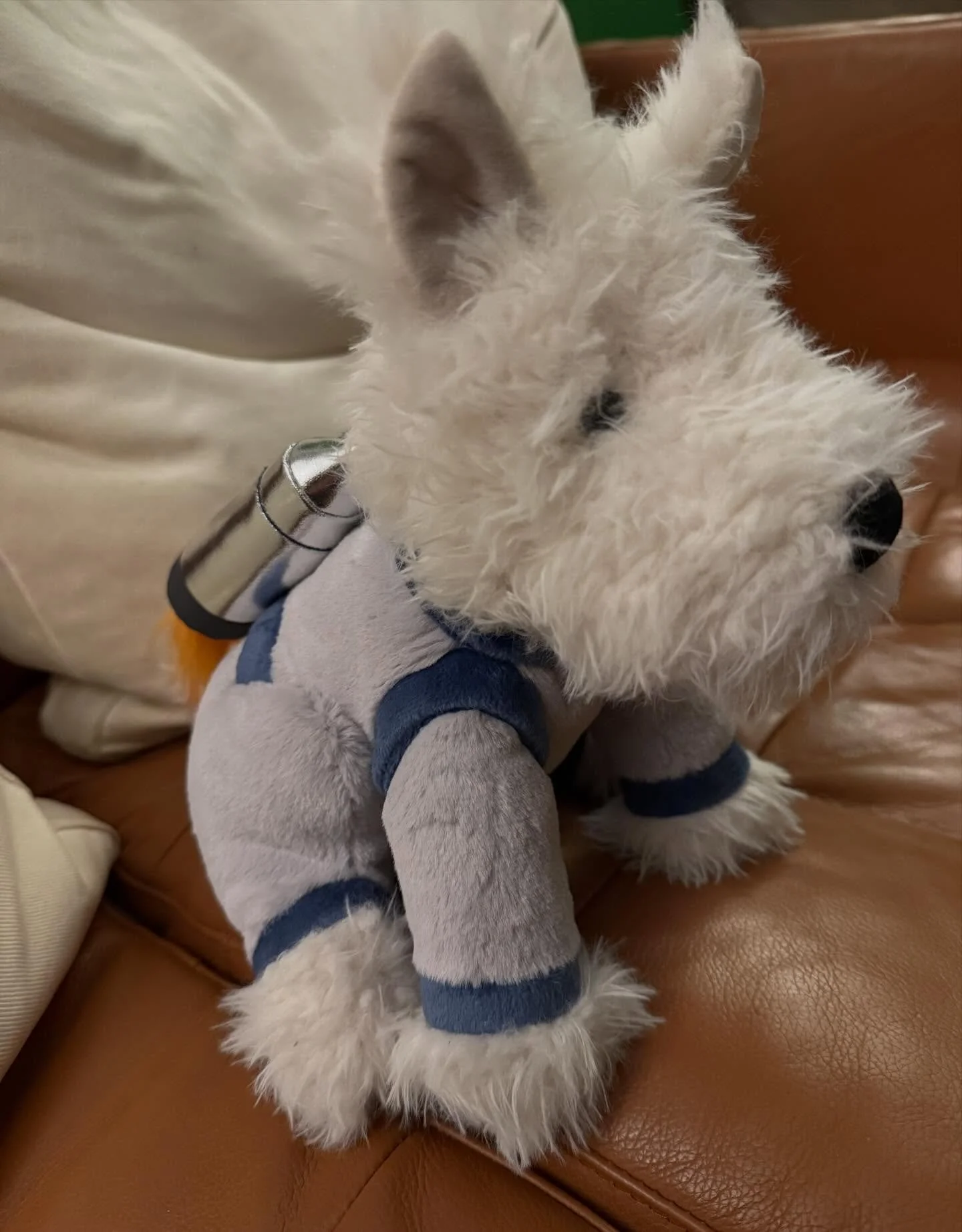 Luna the rocket dog really liked watching the historic launch as well!!