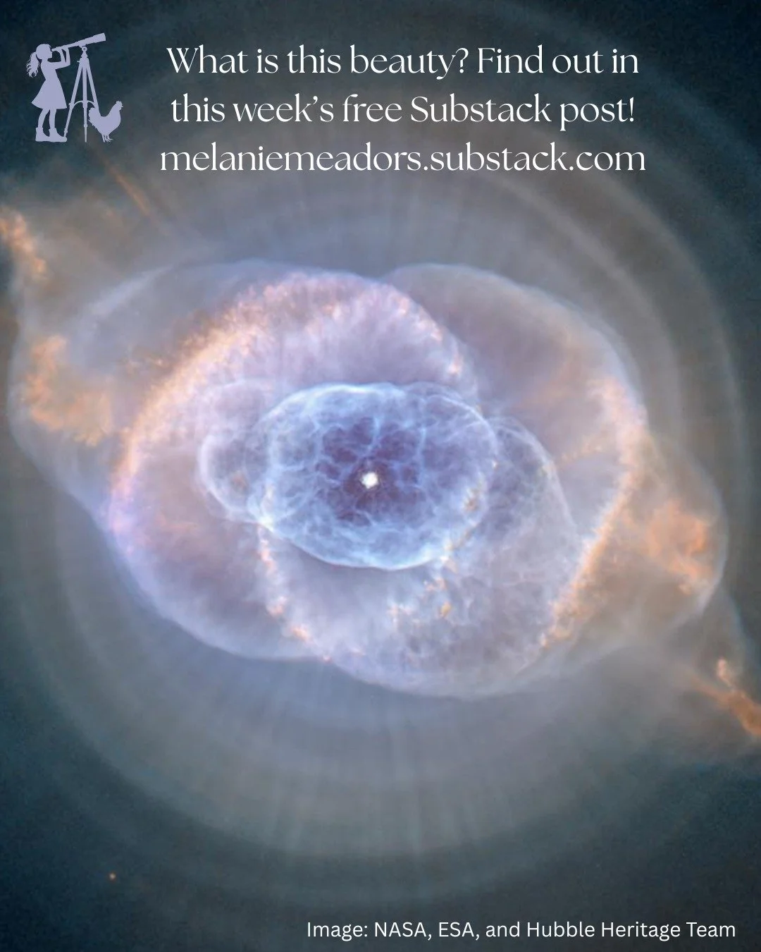 Find out the subject of this week's image of the week, over on my #substack! https://melaniemeadors.substack.com/p/space-for-the-rest-of-us-april-7