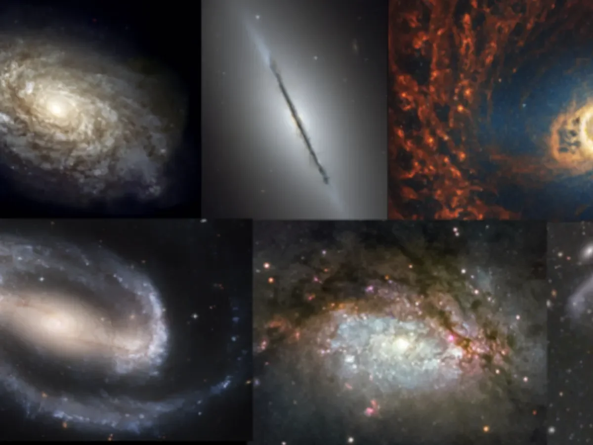 What do Clustered Galaxies Have in Common?