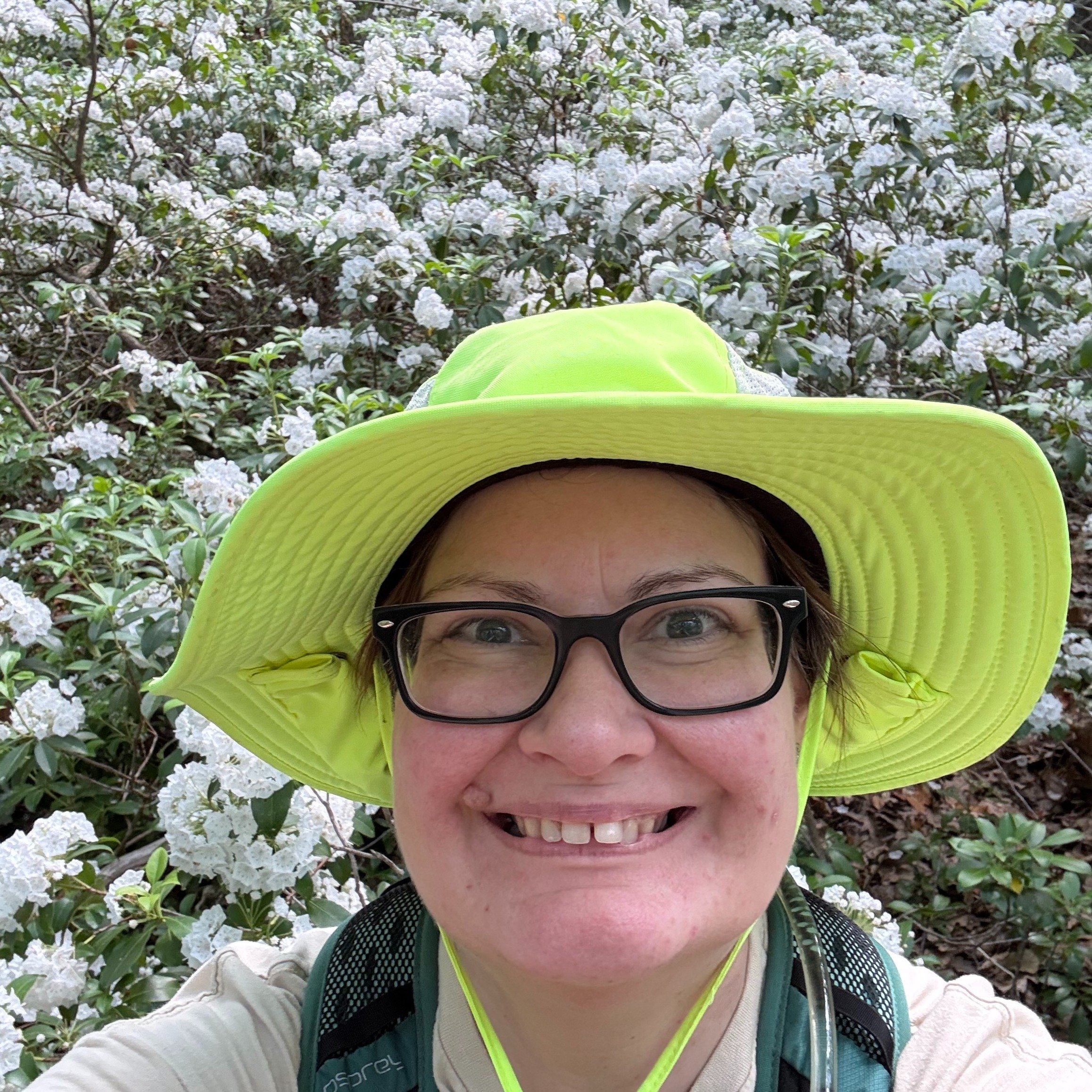 Went for a lovely and relaxing hike at Illig pond in Paxton today. SO many mountain laurel blooms, the forest was absolutely full of them. My photos could not do it justice.