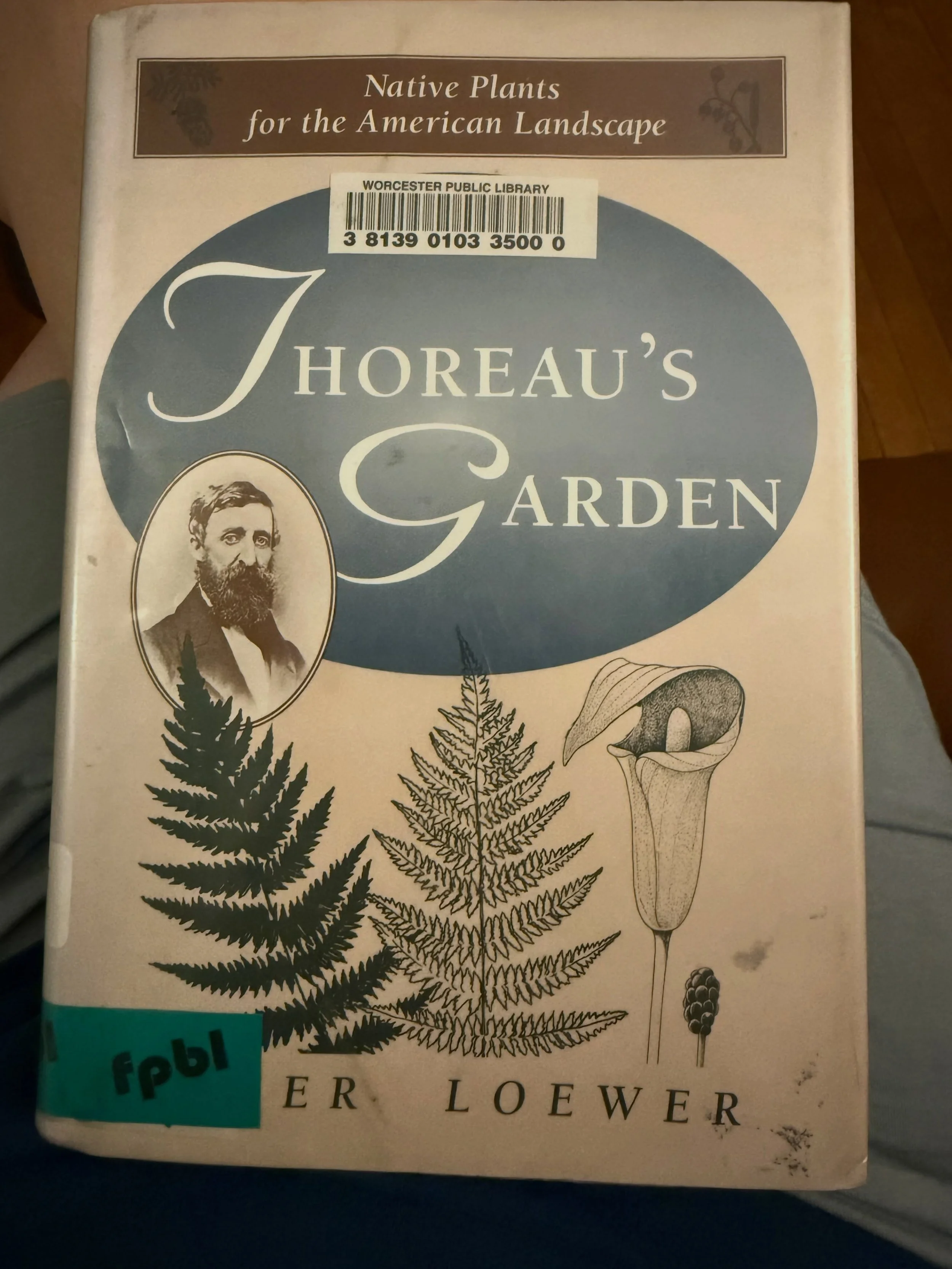 Grabbed a book from the library this afternoon that fits a theme of thought for this week.