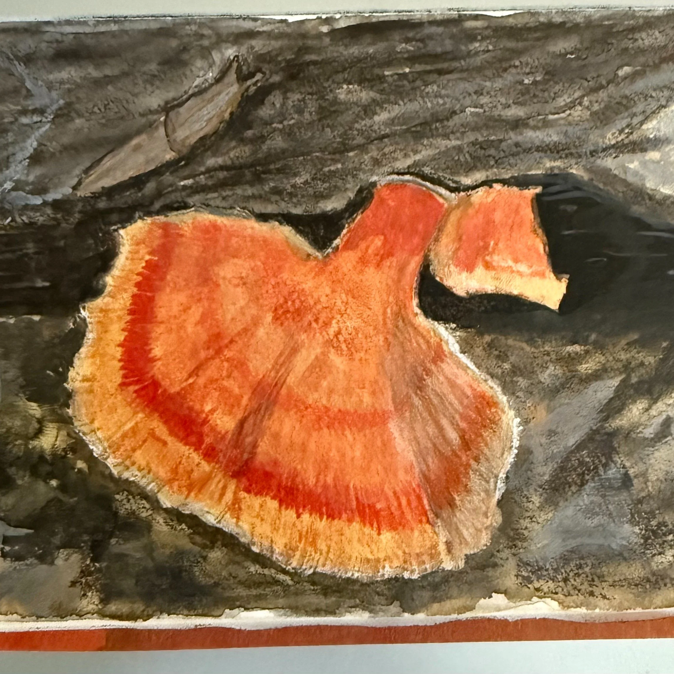 Sketch of chicken of the woods from Nicks Woods yesterday.