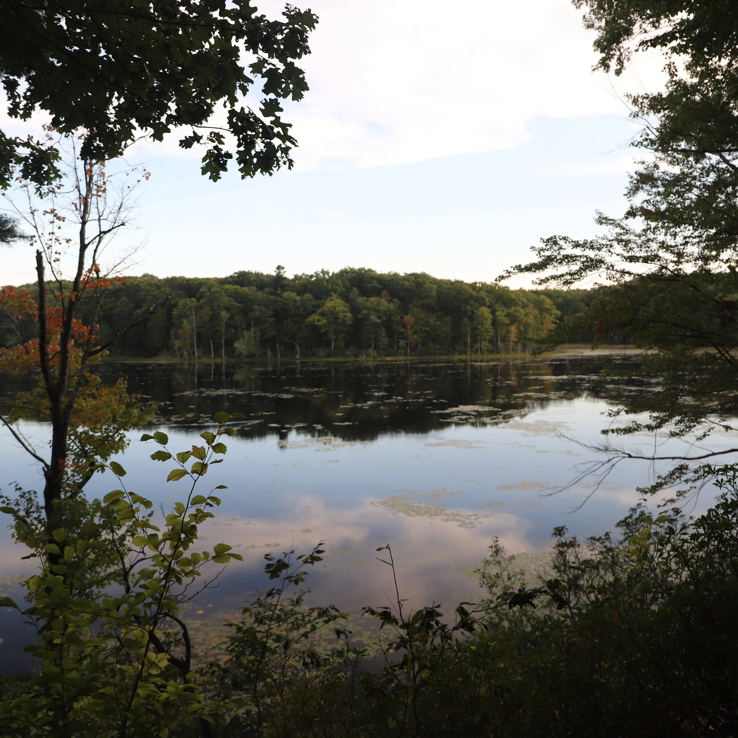 Hike number 8 of the week! This one was at Southwick Pond/Muir Meadow. Only a couple hikes left to complete the @gwlandtrust #hikeworcesterweek challenge! It's not too late to make a pledge--any amount would be really awesome and helpful! https://www