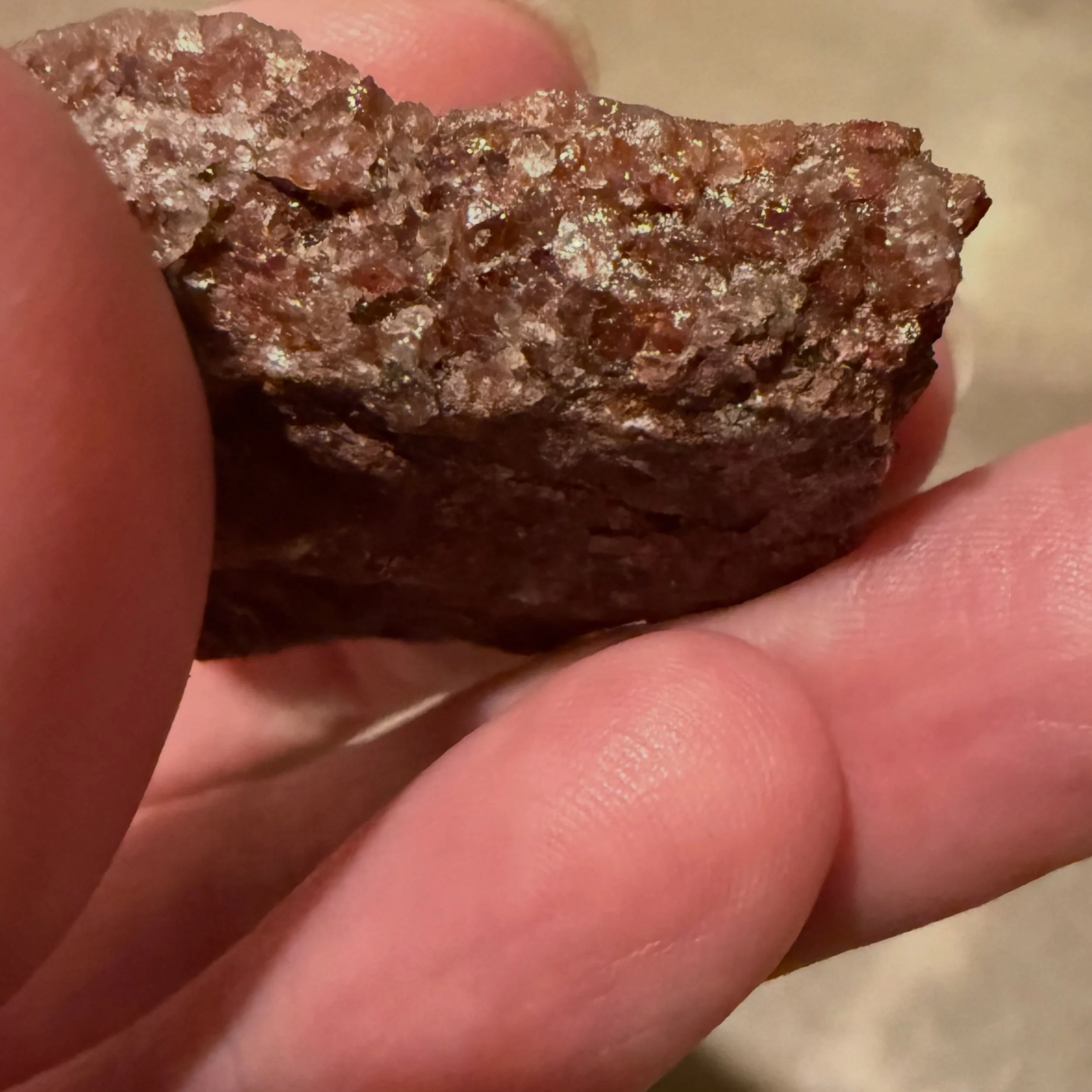Everyone knows I&rsquo;m a girl who can&rsquo;t resist a cool rock. The best part for me about this morning&rsquo;s hike to Thoreau&rsquo;s Seat on Asnebumskit was finding this beauty&mdash;garnet (among a matrix of other things)! Found right at the 