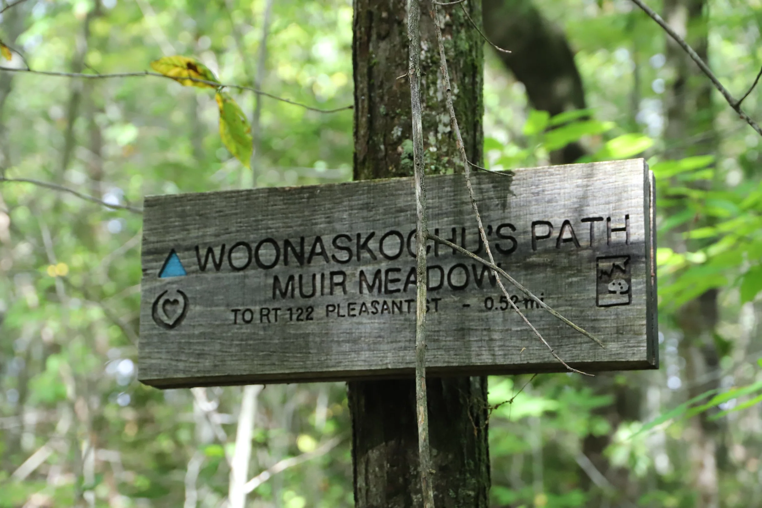 Who Was Woonaskochu? 