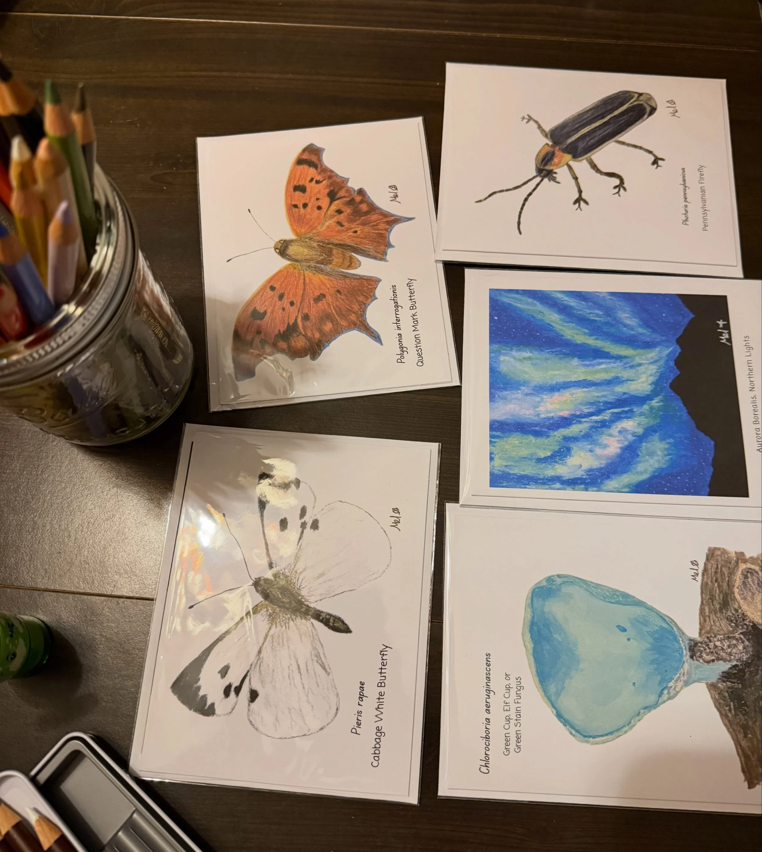 New greeting cards for my show in Institute Park on Saturday! Most are colored pencil with an oil pastel and a watercolor. #natureart #worcesterma