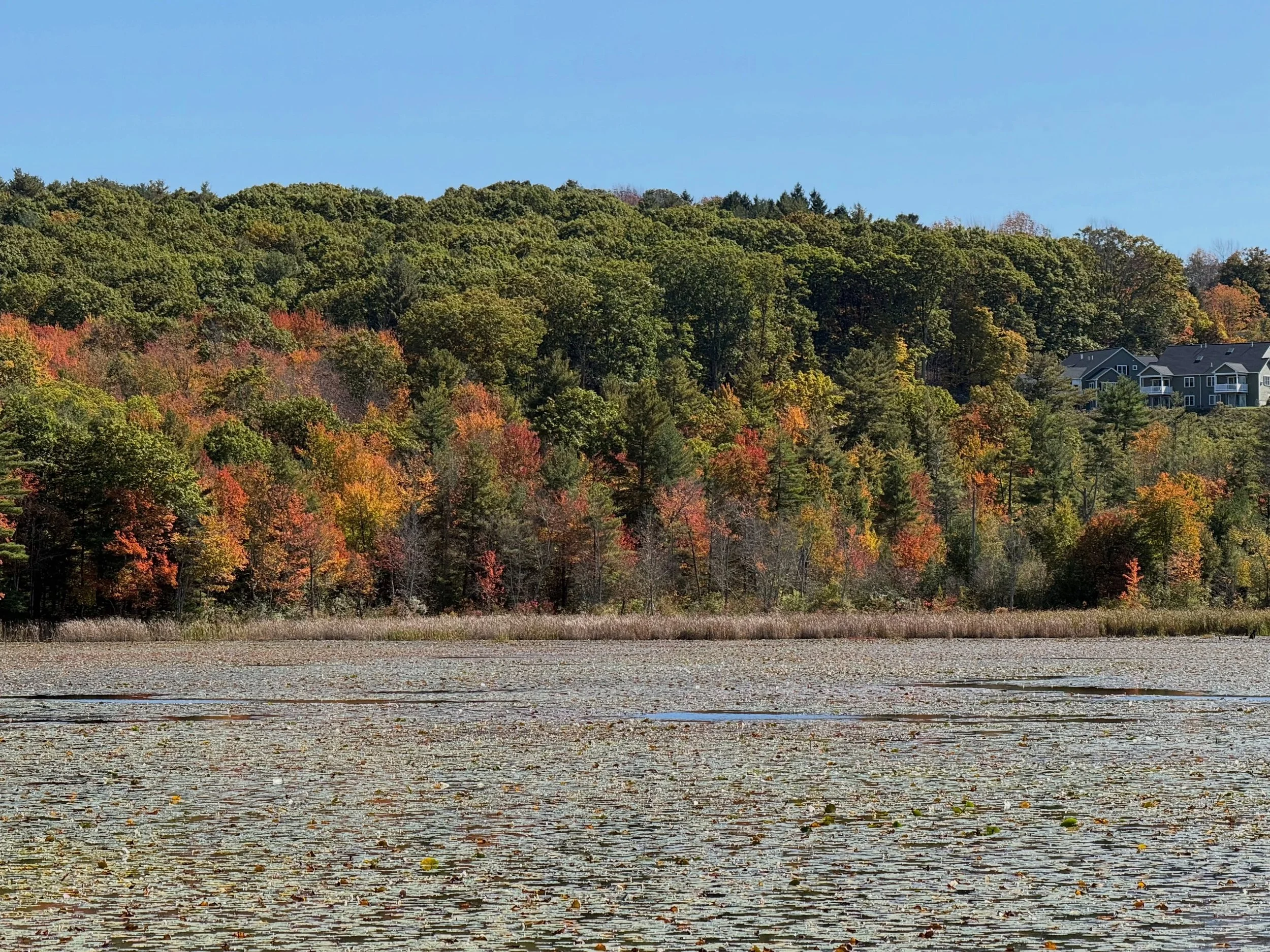 A lovely day at the Rutland section of the Central Massachusetts Rail Trail!