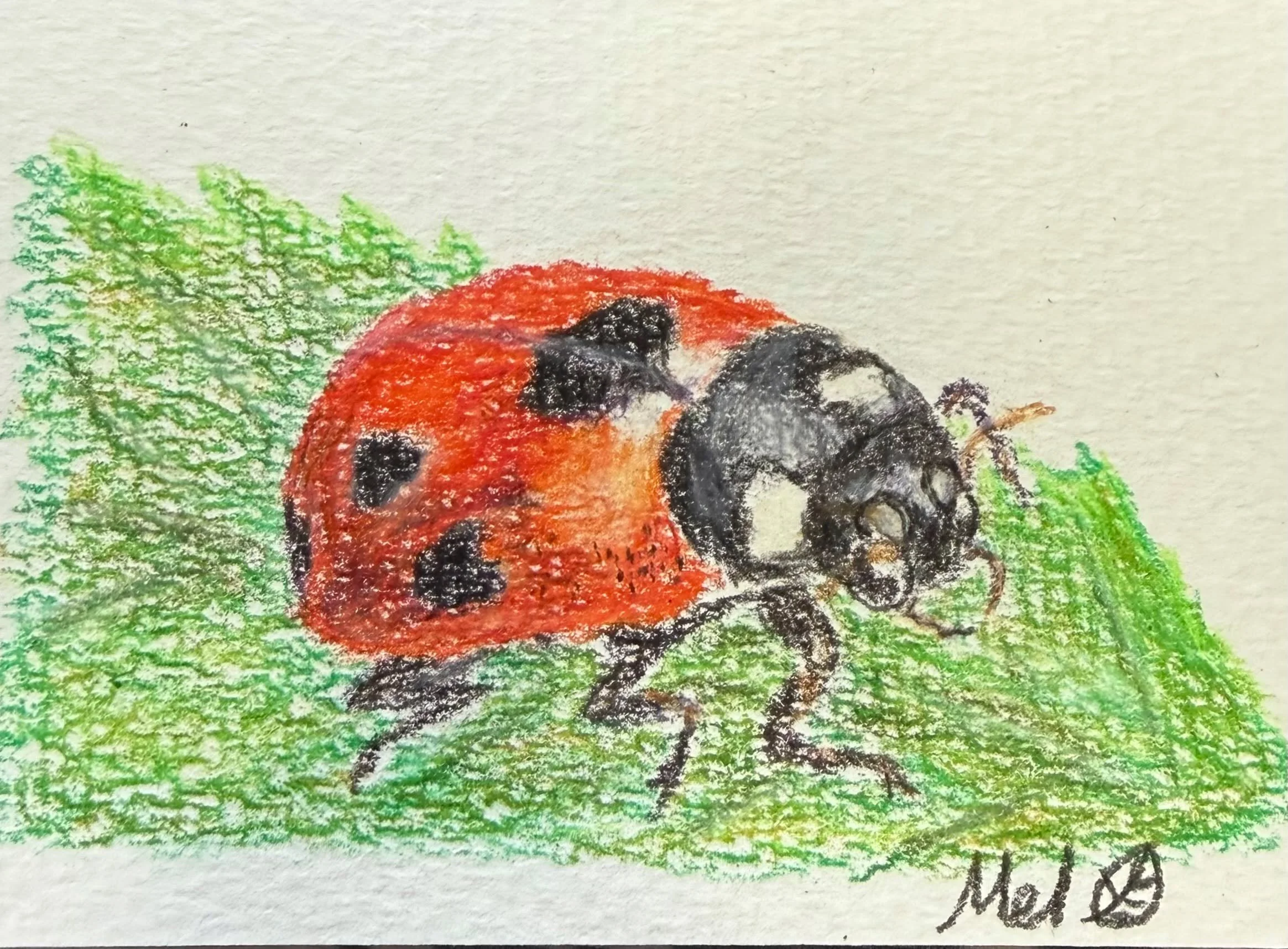 I drew this trading-card-sized lady bug while I was at the craft show today, intending to maybe sell it as a little fun thing, but then a little girl came to my table DRESSED AS A LADYBUG, so of course I had to give it to her instead. And that, ladie