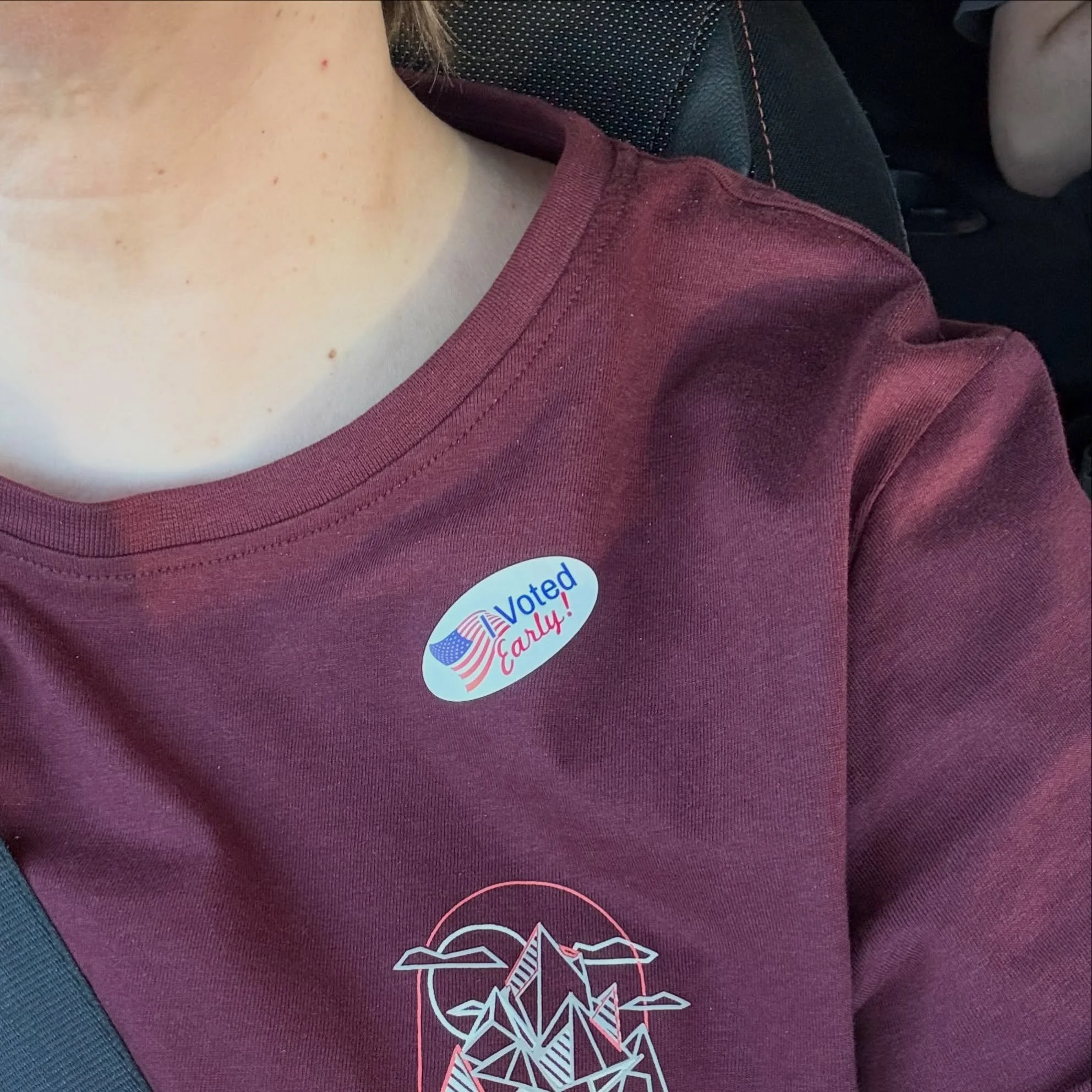 I voted early!
