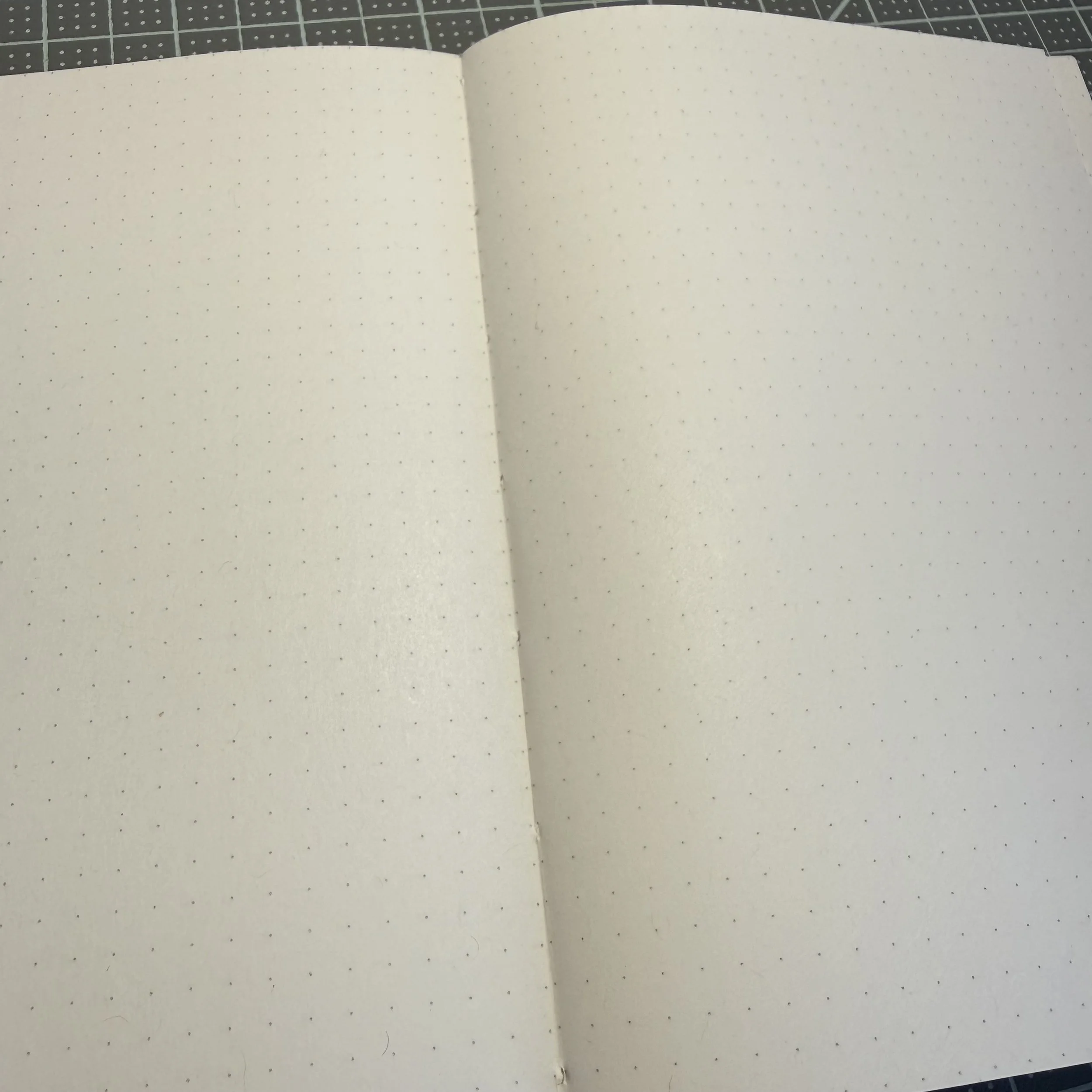 IMG_2629.jpeg (Copy) (Copy) (Copy)