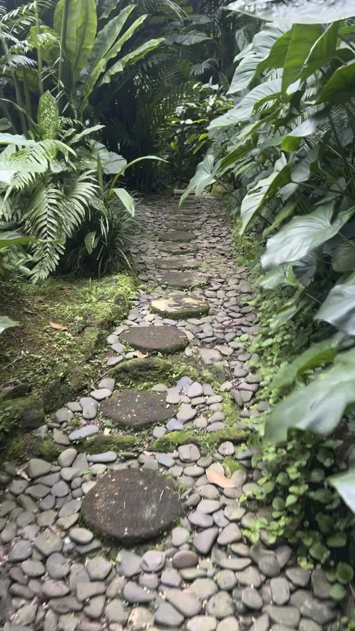 7th Path Self-Hypnosis® Group Journey — Mae B Mindful