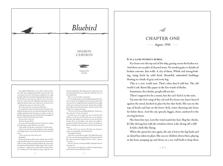 Bluebird-Opener.jpg