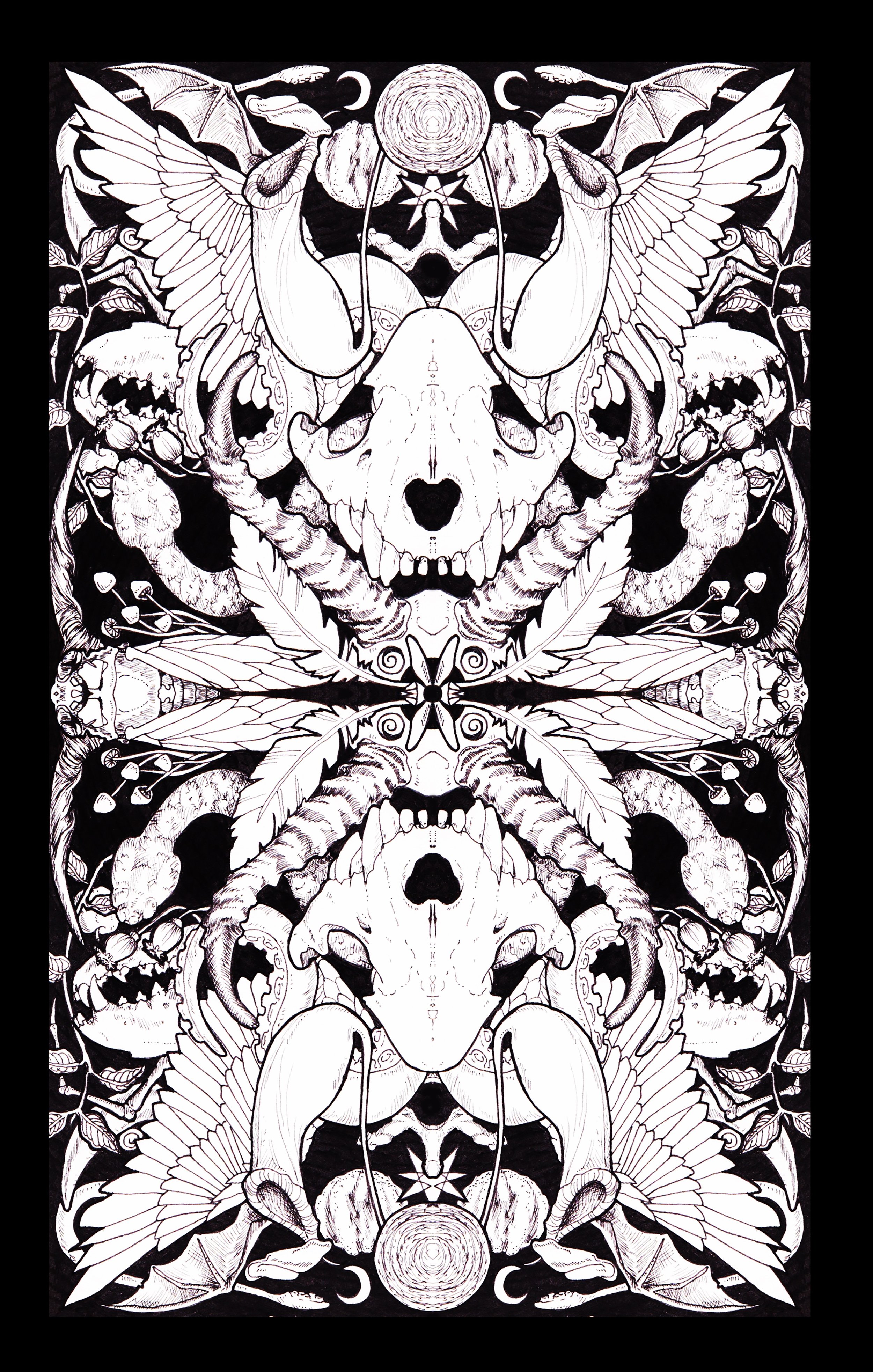 Dark Energy copy.jpg