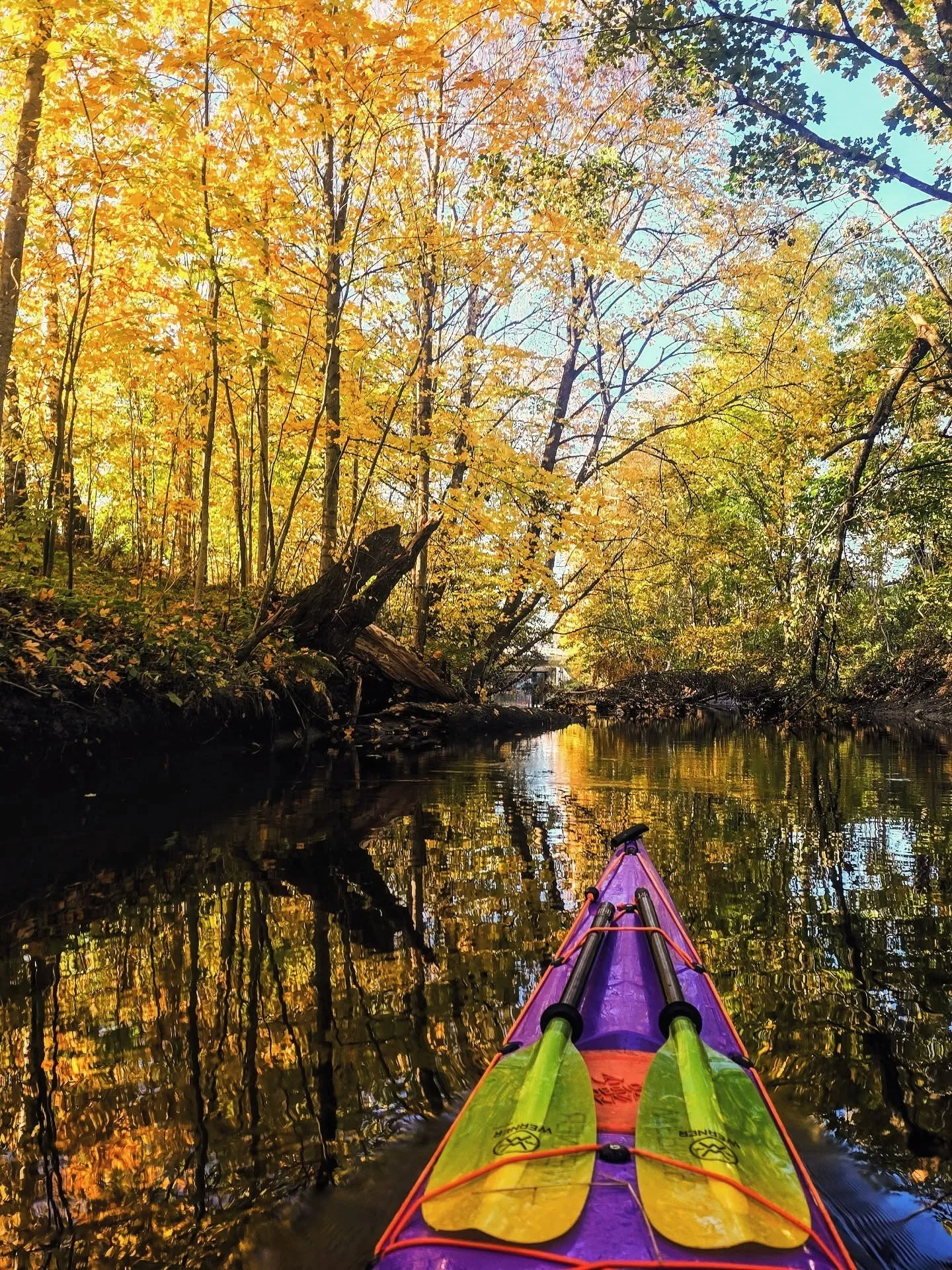 Unplugged 💜
Mellom kontor, konferanser og familien ✨️✨️
Mellom åpent hav og urbane strøk ✨️✨️
Mellom litt for travelt - og akkurat der jeg skal være ✨️✨️
Mental helse i hvert padletak 💜
Denne uke har hatt flere øyeblikk