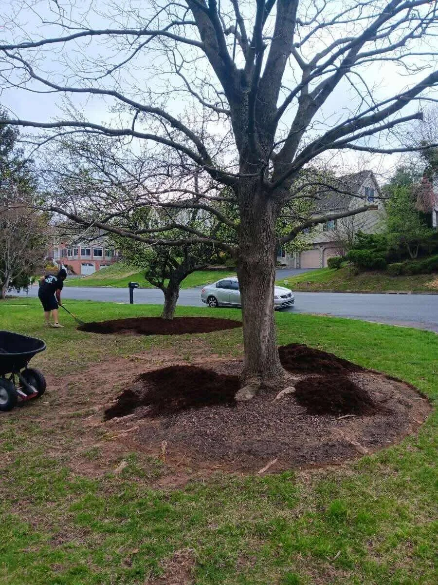 Property maintenance and mulch installation services performed by Ninja Lawn & Landscape near Harrisburg, PA.