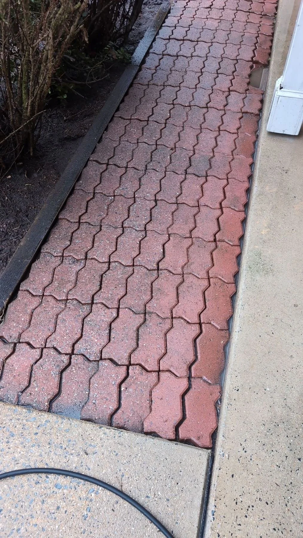 Freshly cleaned brick paver walkway after power washing as part of spring cleanup service in Central PA