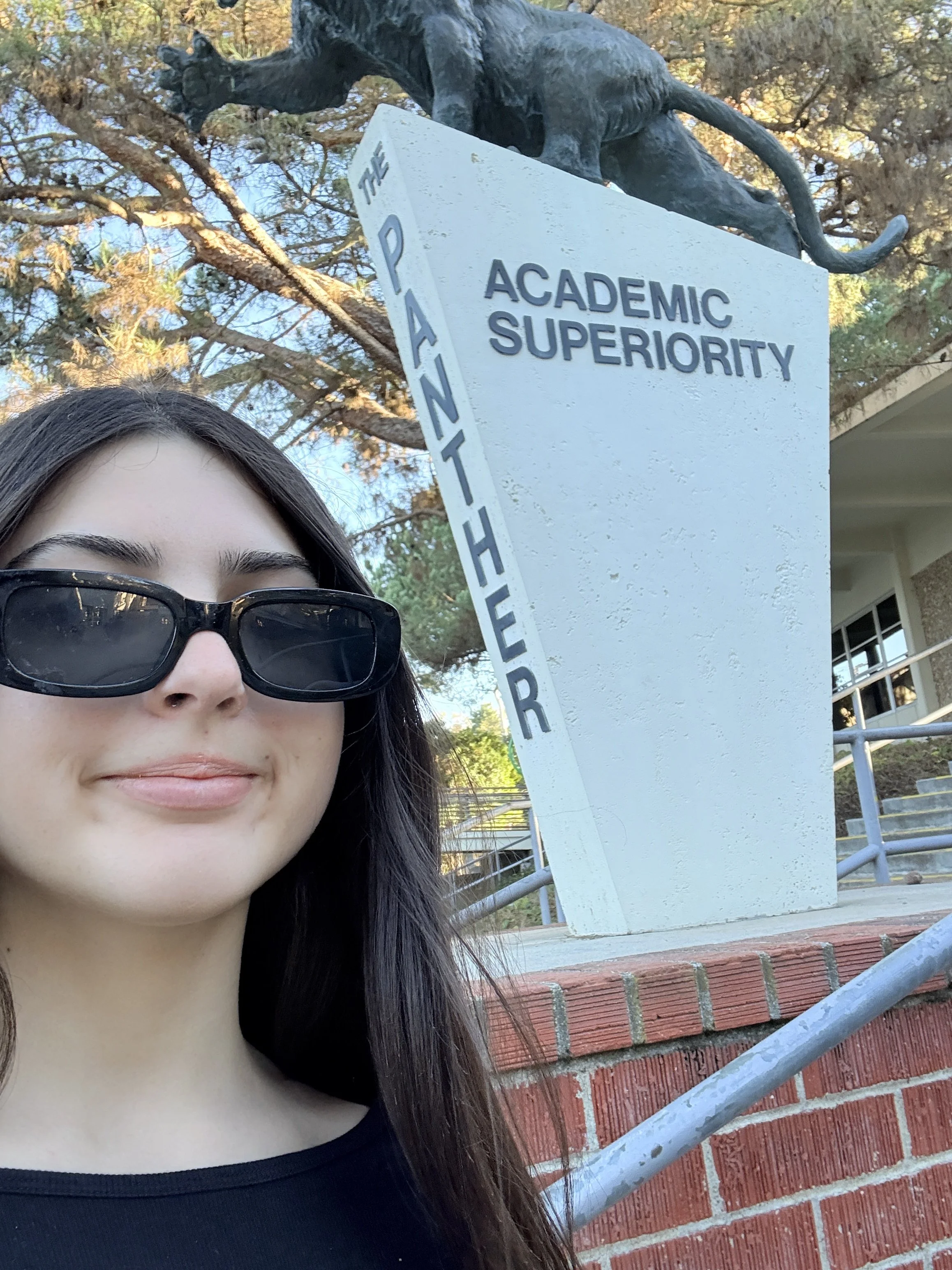 Sophomores in SAS Classes Spark Debate Over Academic Fairness