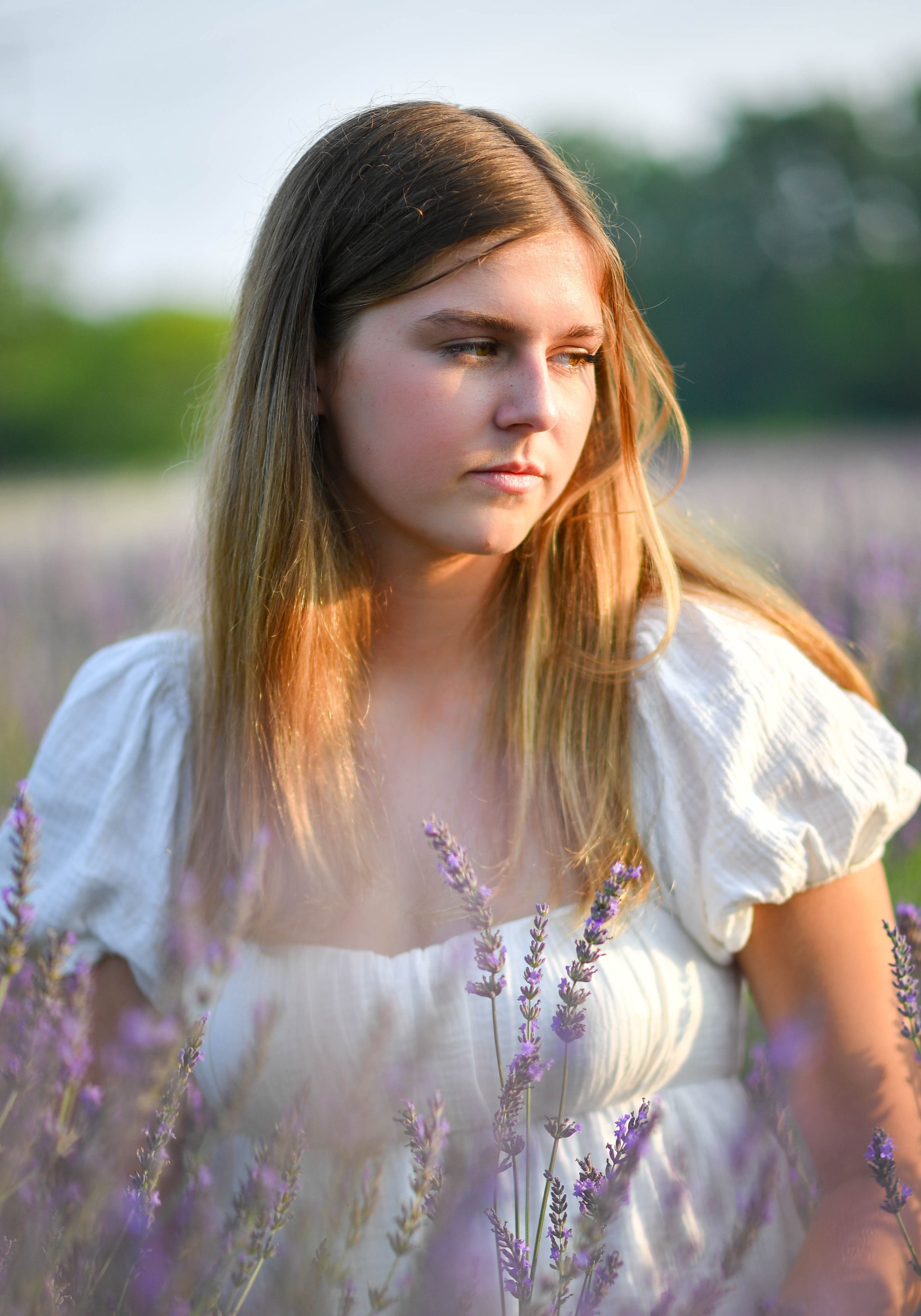 Lavender Fields Summer Session