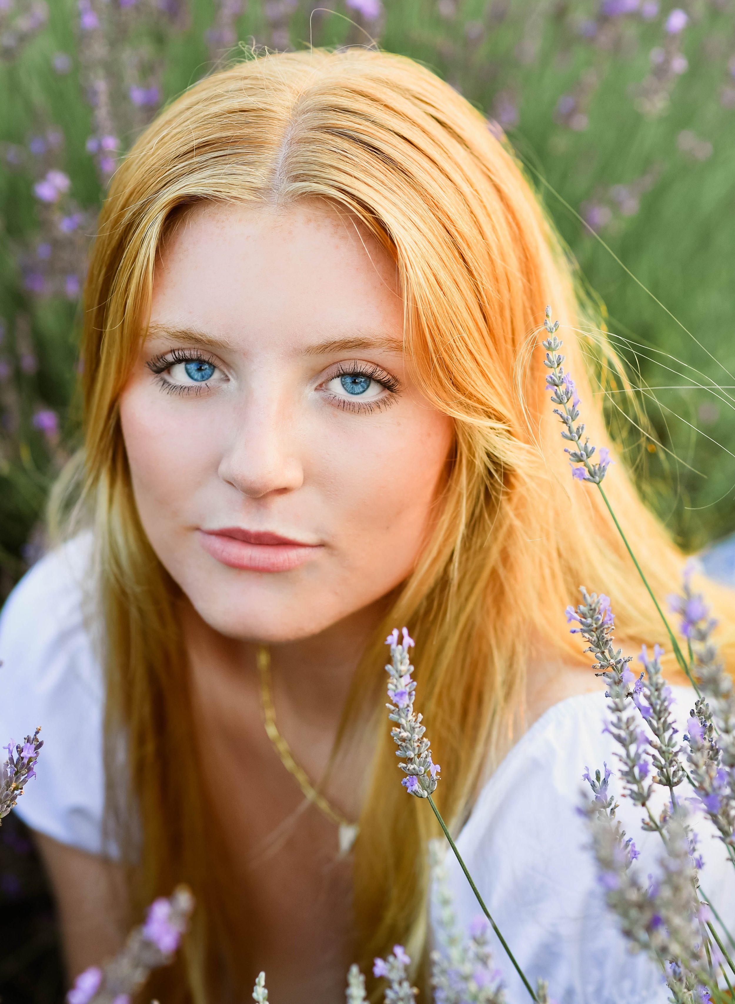 Lavender Fields Summer Session