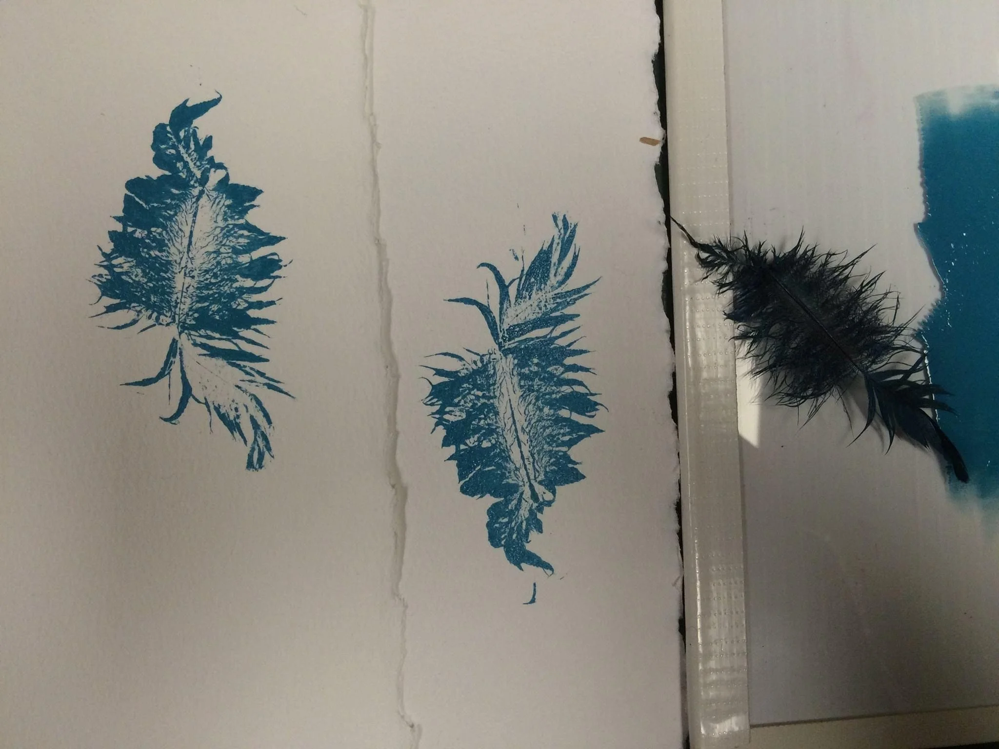 Feather mono printing workshop with 6 to 8 year old children at the Hastings Branch of the Vancouver Public Library.