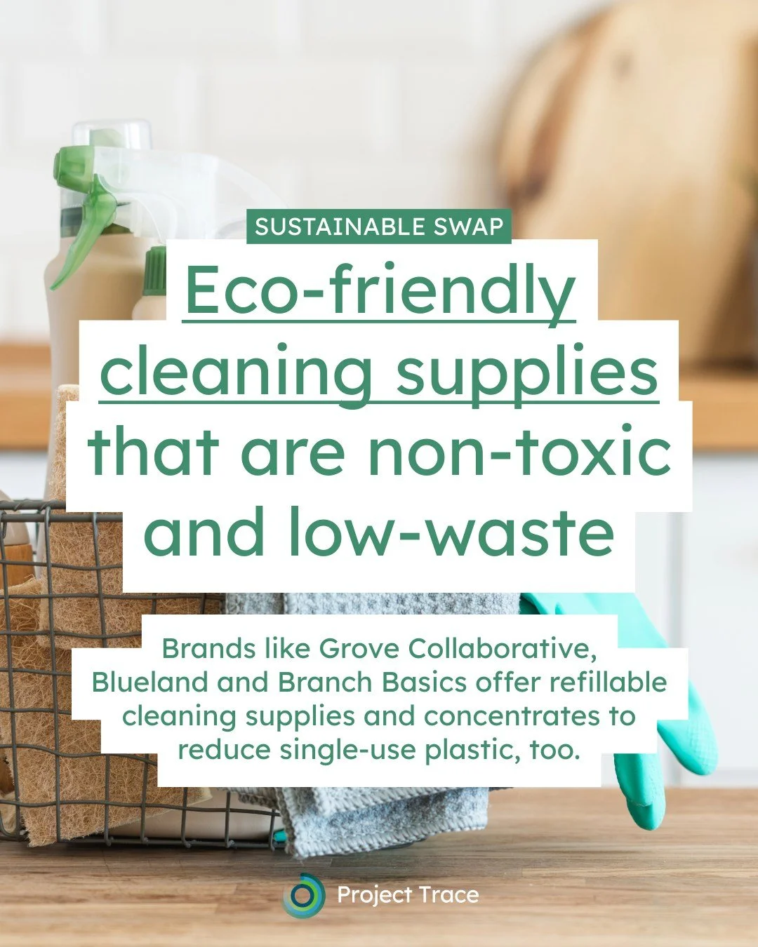 It&rsquo;s the first day of spring! The days are longer, the flowers are blooming, and we&rsquo;re feeling the itch for spring cleaning. This year, we&rsquo;re keeping the planet in mind by using non-toxic and low- or no-waste cleaning supplies like 